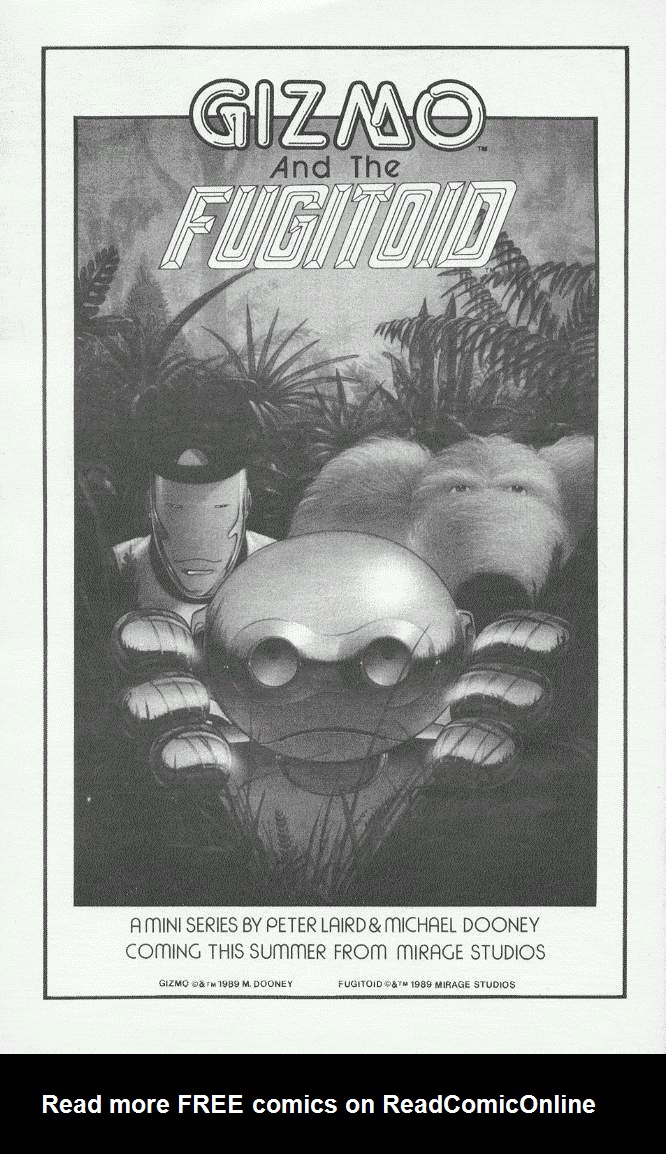 Teenage Mutant Ninja Turtles (1984) Issue #19 #19 - English 40