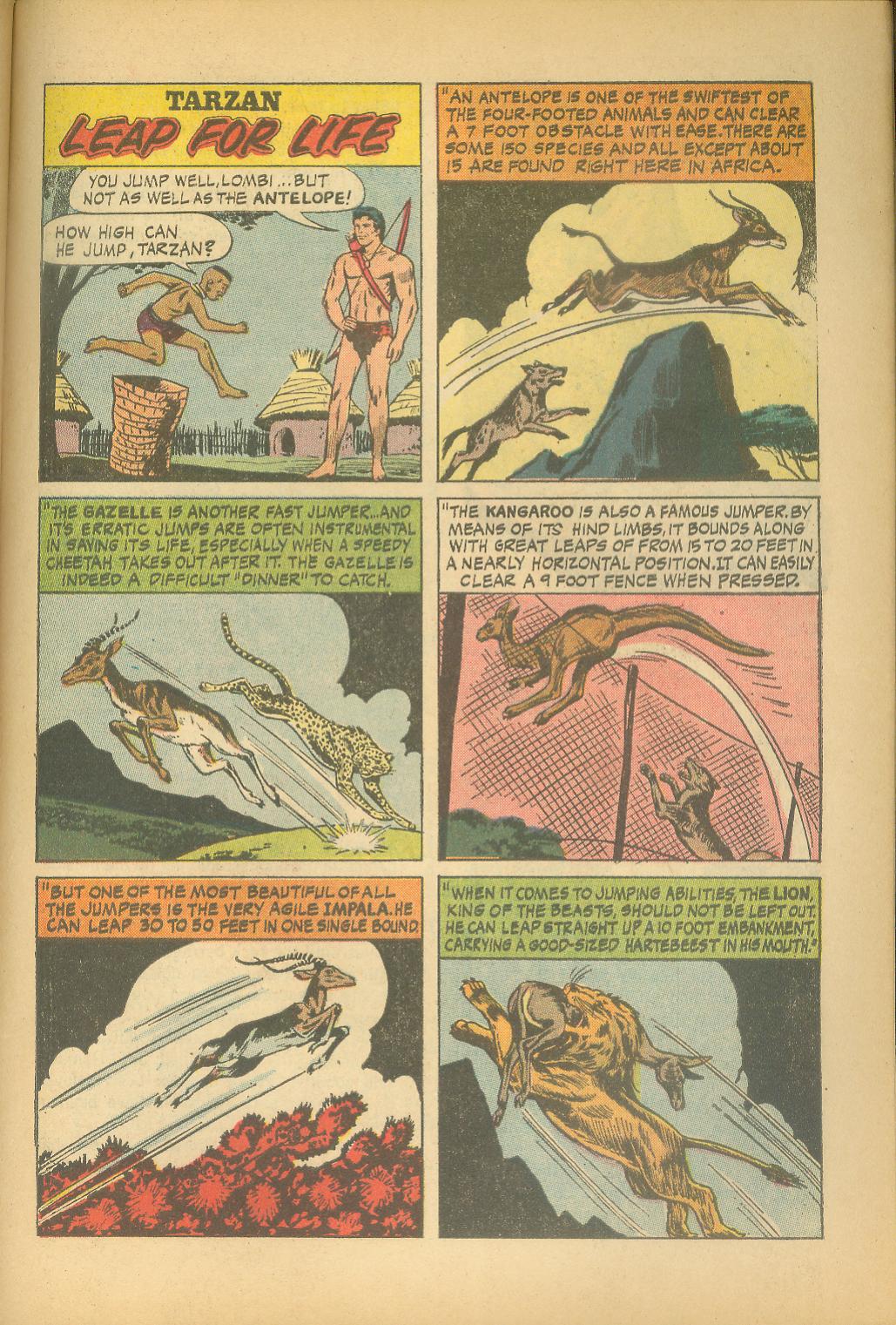 Read online Tarzan (1962) comic -  Issue #160 - 27
