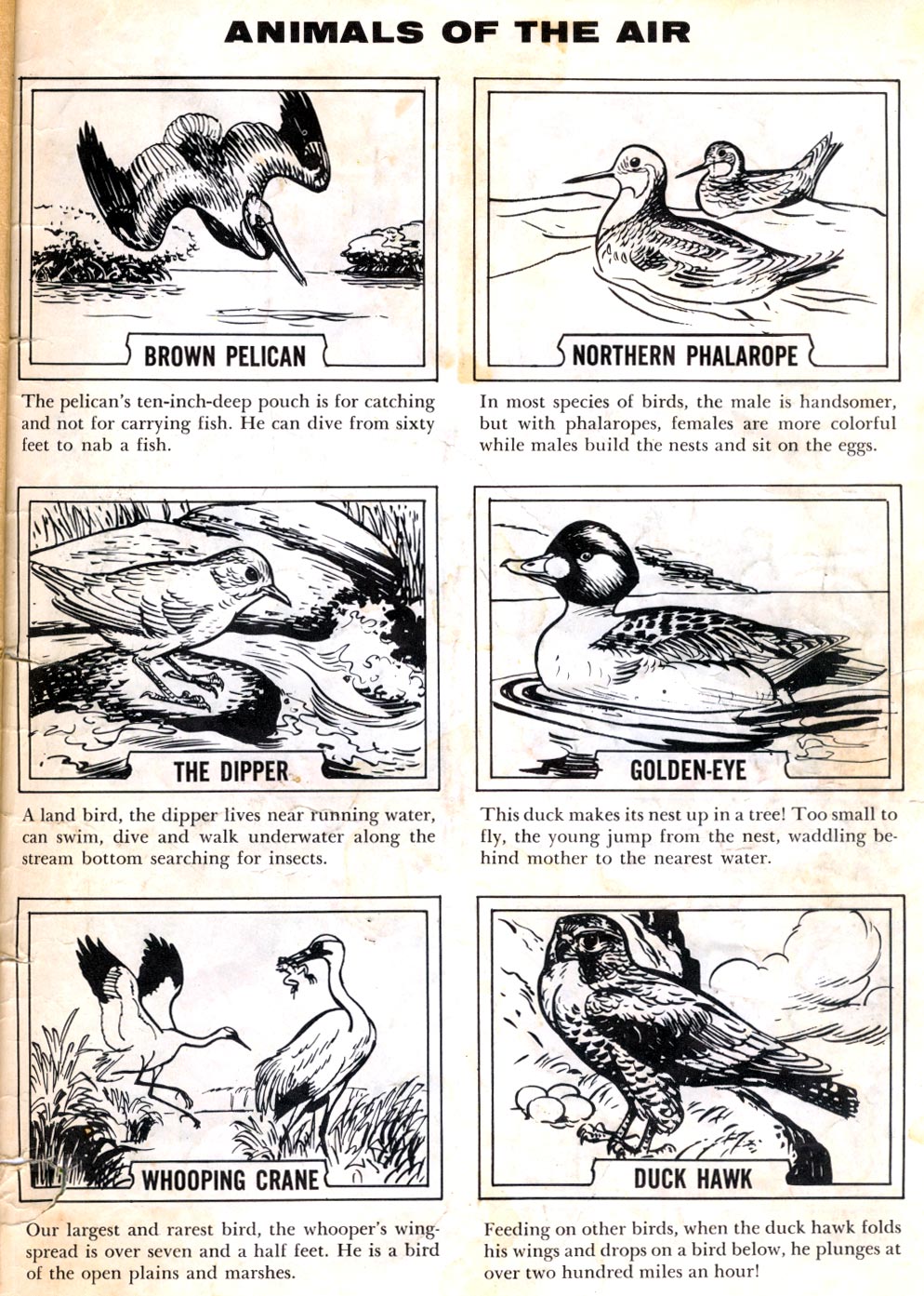 Read online Four Color Comics comic -  Issue #1119 - 35