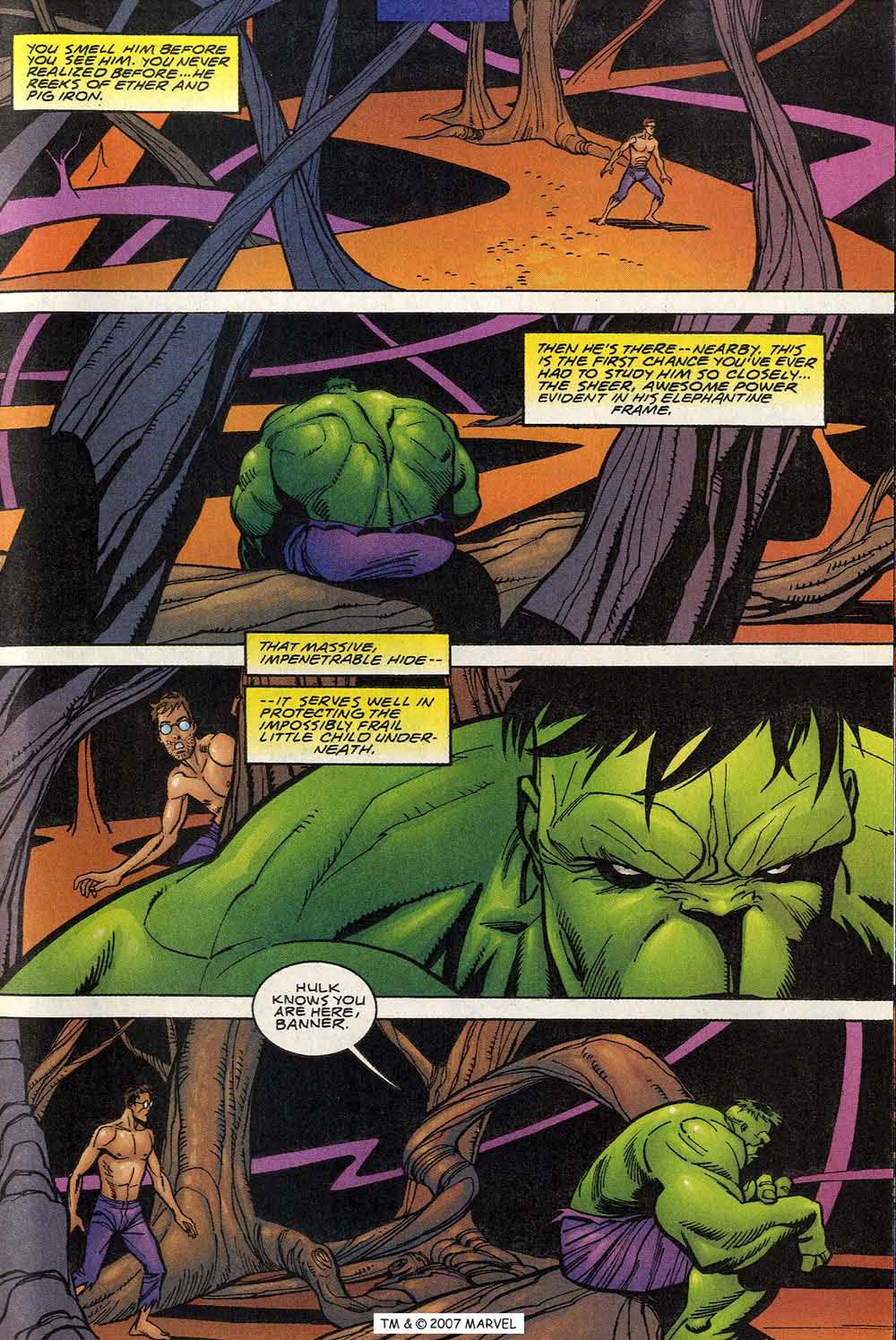 The Incredible Hulk (2000) Issue #12 #1 - English 43