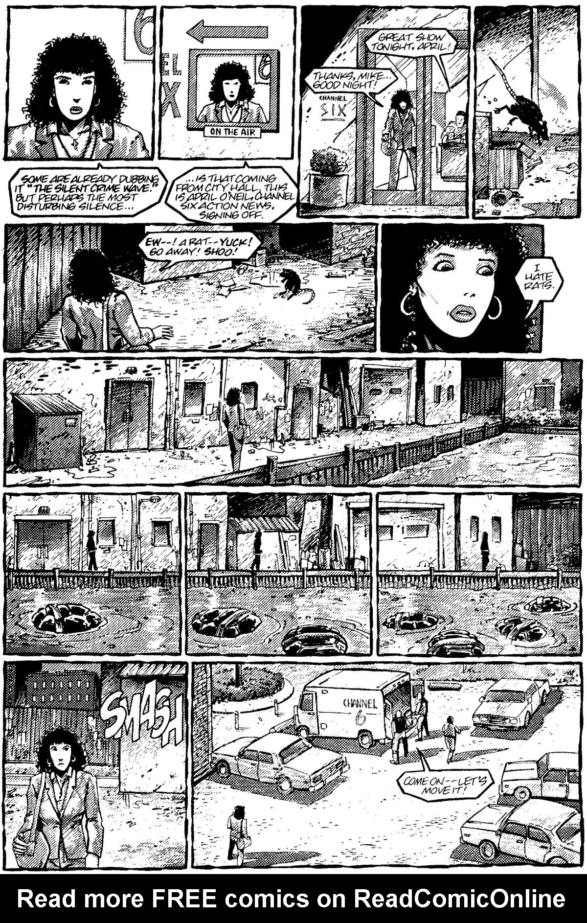 Read online Teenage Mutant Ninja Turtles: The Movie comic -  Issue # Full - 6