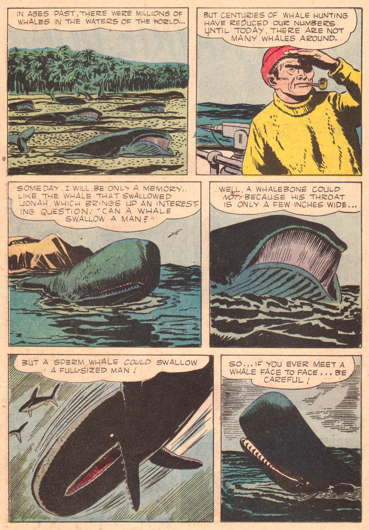 Read online Four Color Comics comic -  Issue #842 - 14