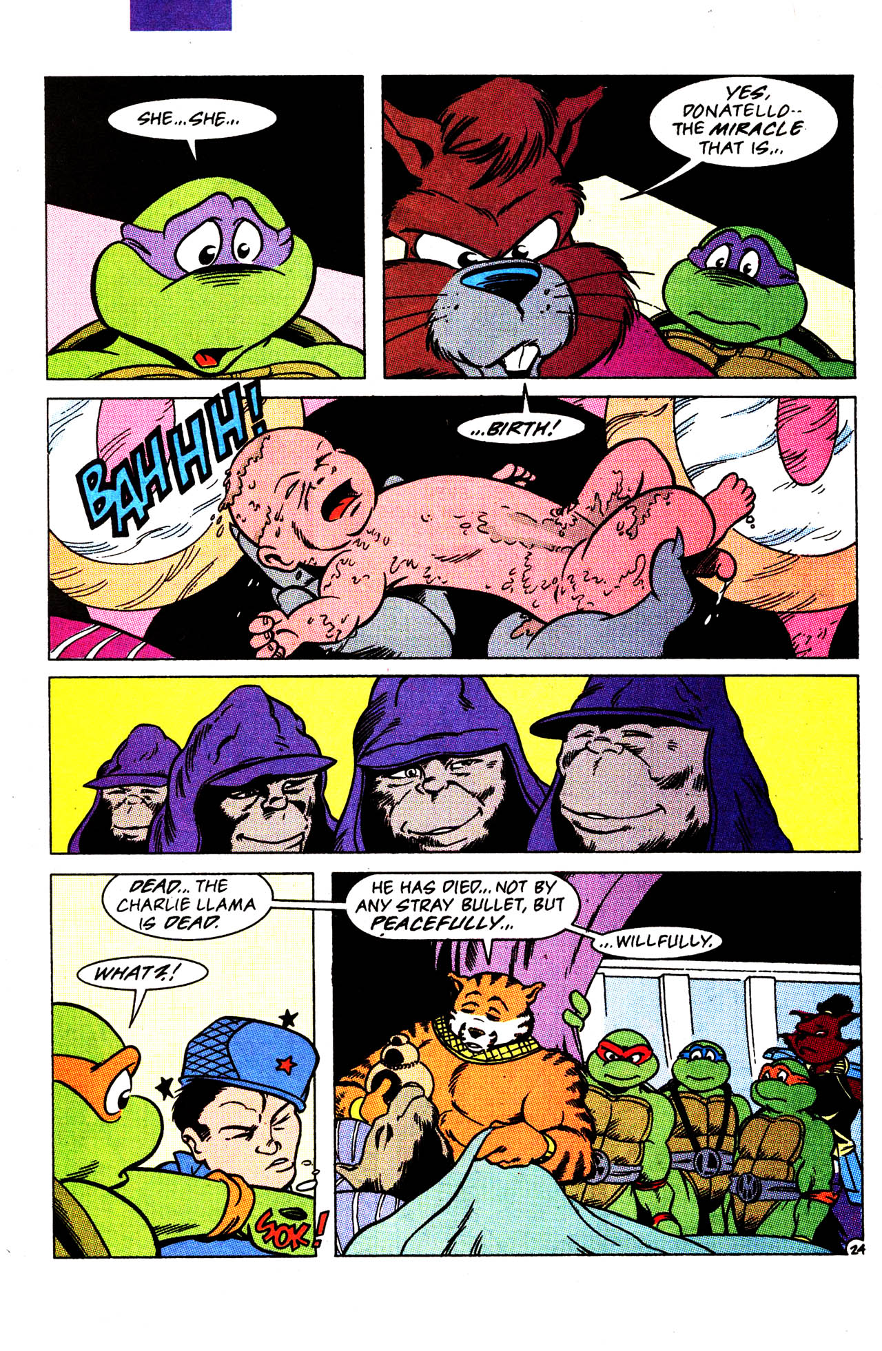 Read online Teenage Mutant Ninja Turtles Adventures (1989) comic -  Issue #34 - 26