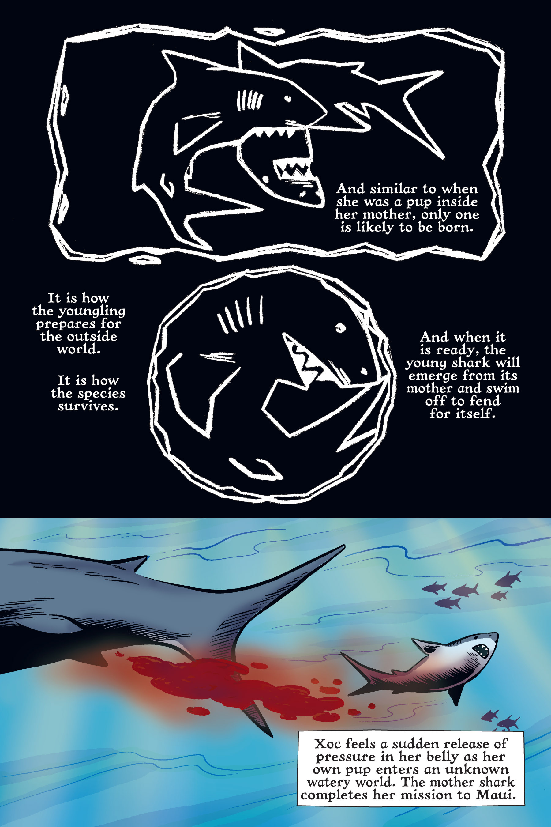 Read online Xoc: Journey of a Great White comic -  Issue # TPB - 101