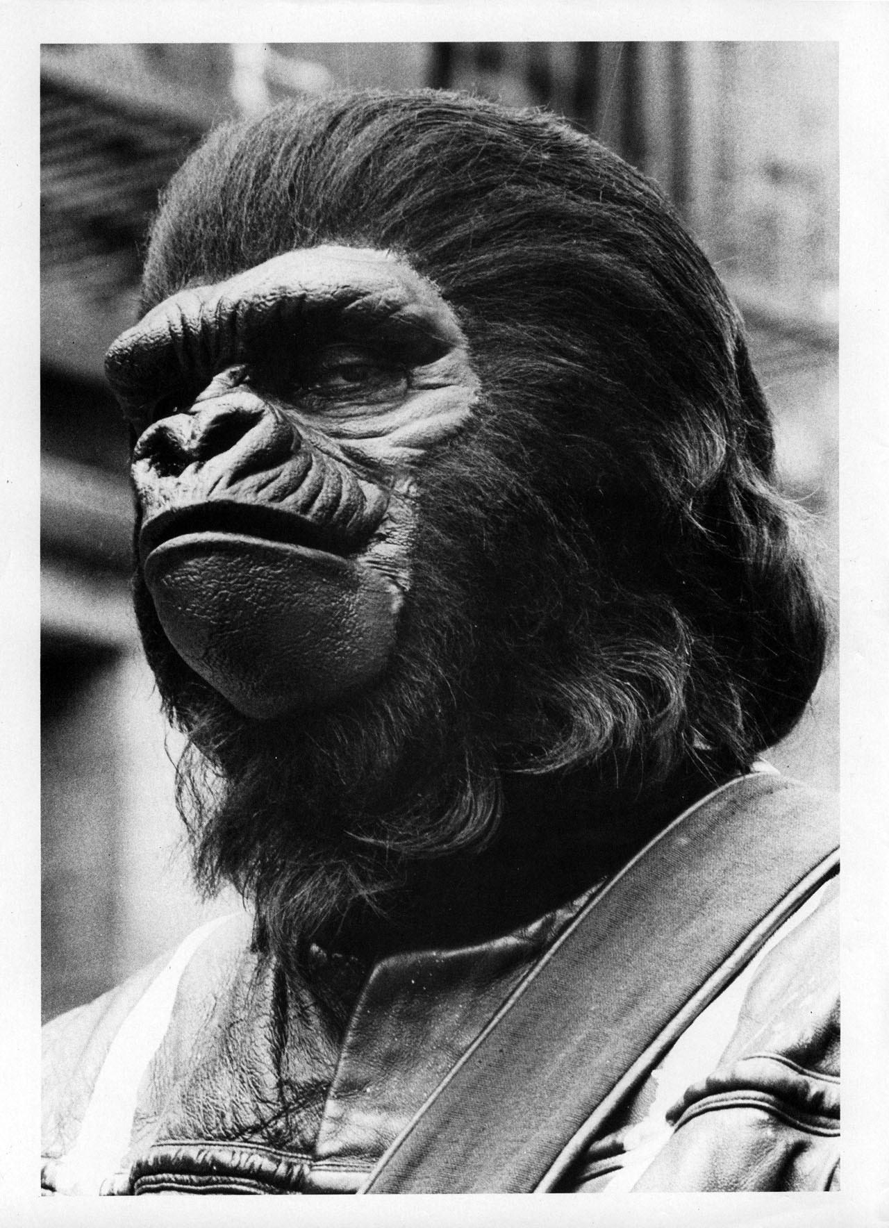 Read online Planet of the Apes comic -  Issue #11 - 2