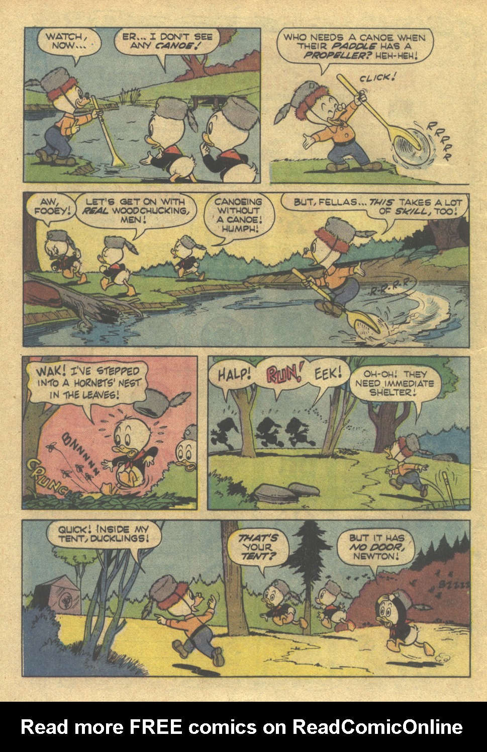 Read online Huey, Dewey, and Louie Junior Woodchucks comic -  Issue #18 - 24