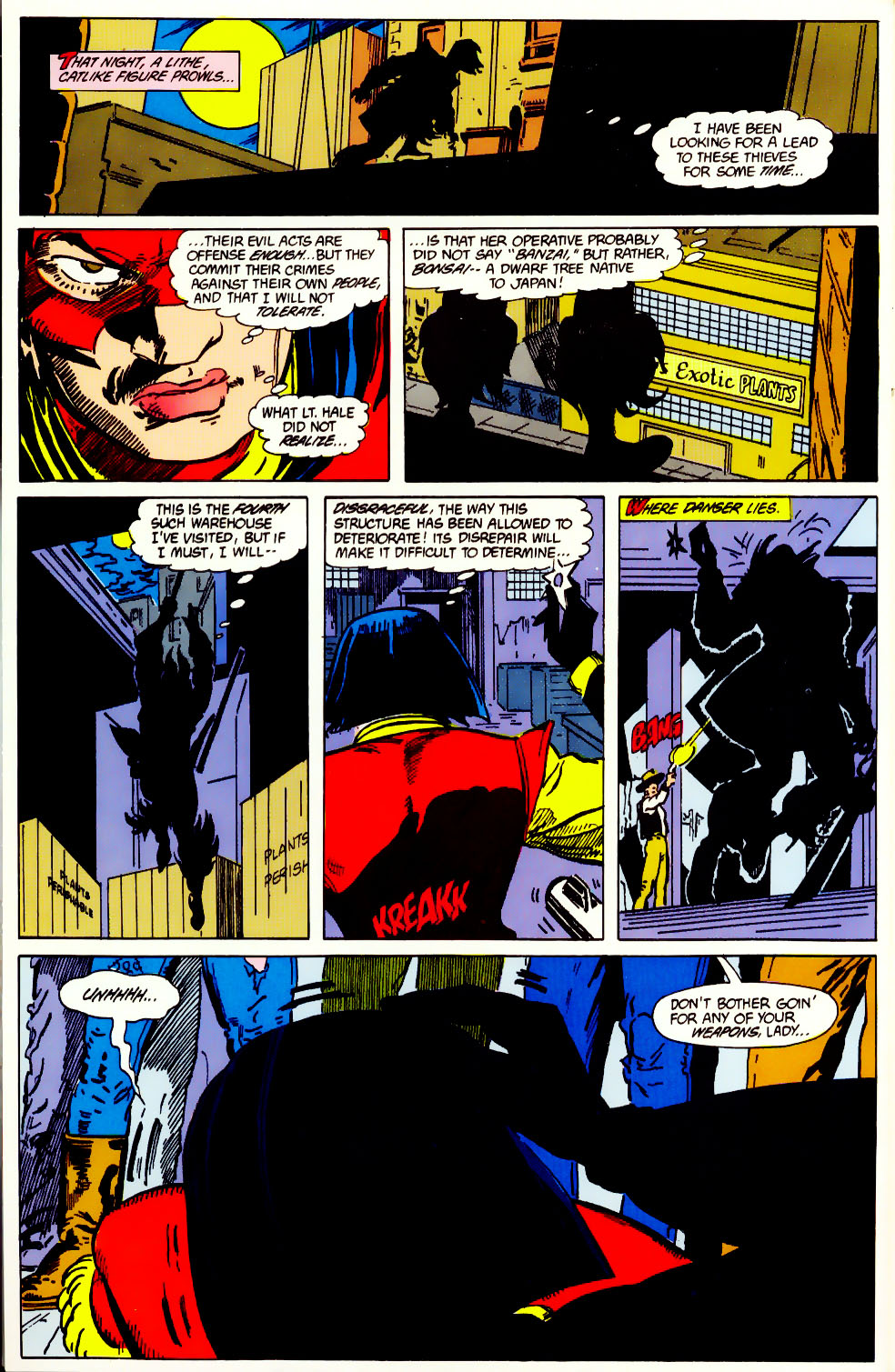 Read online The Outsiders (1985) comic -  Issue #11 - 23