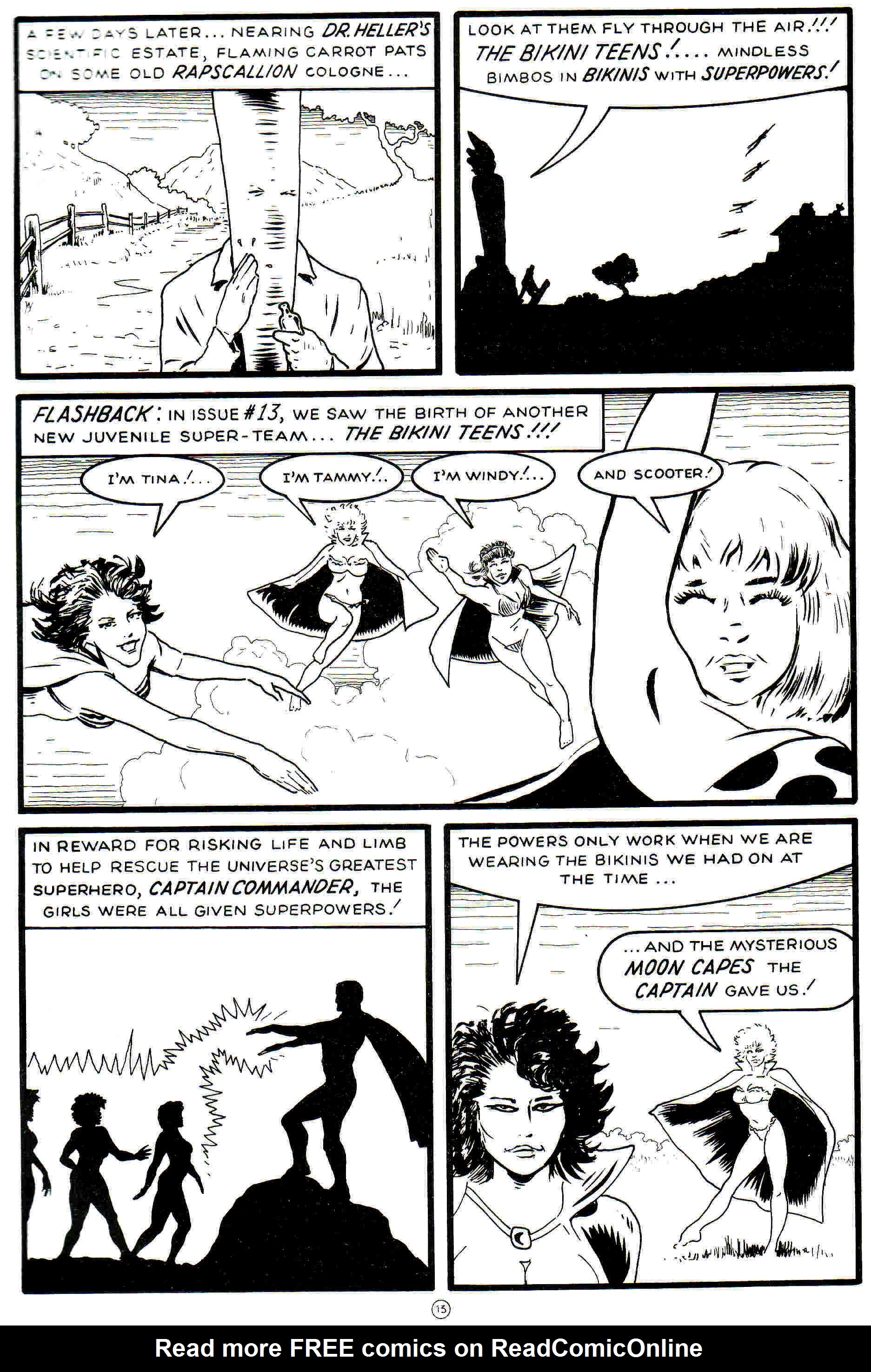 Read online Flaming Carrot Comics (1984) comic -  Issue #15 - 14