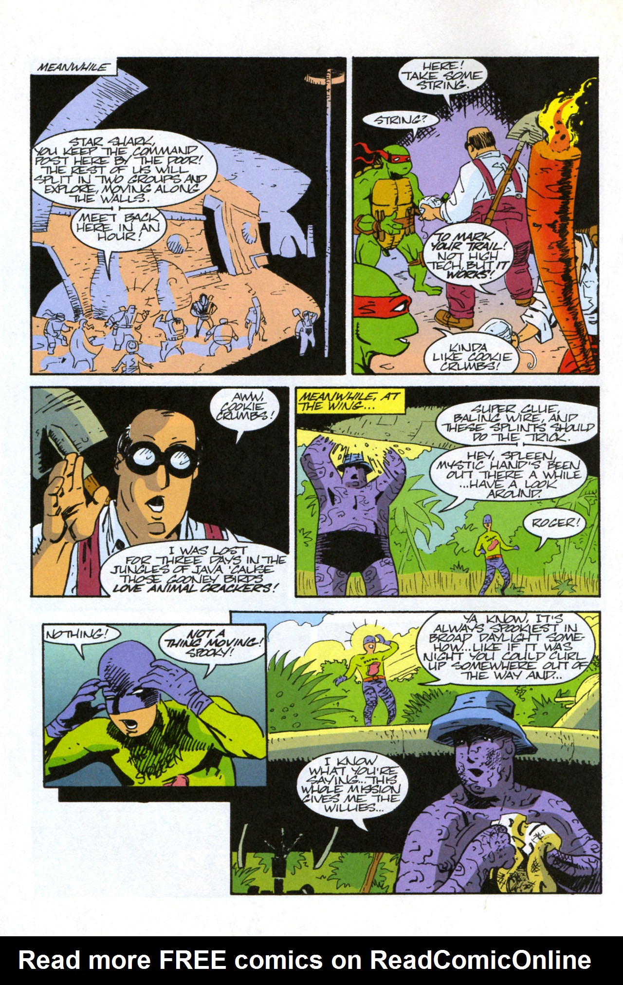 Read online Teenage Mutant Ninja Turtles/Flaming Carrot Crossover comic -  Issue #3 - 20