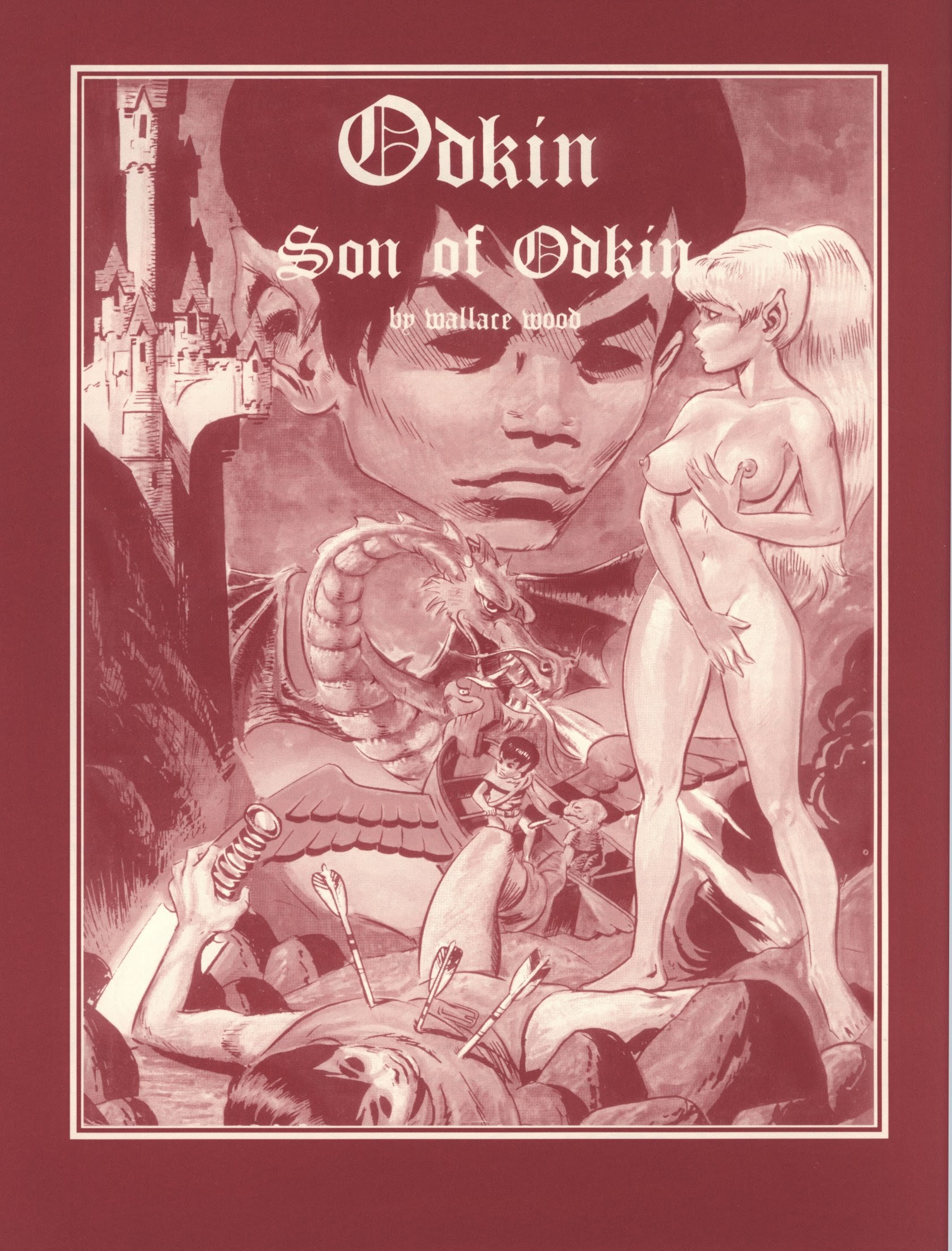 Read online The Wizard King Trilogy comic -  Issue # Full - 67