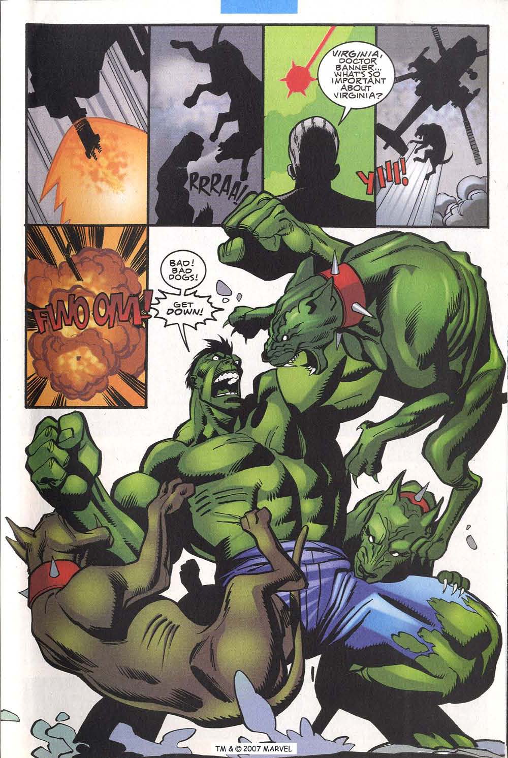 The Incredible Hulk (2000) Issue #14 #3 - English 29