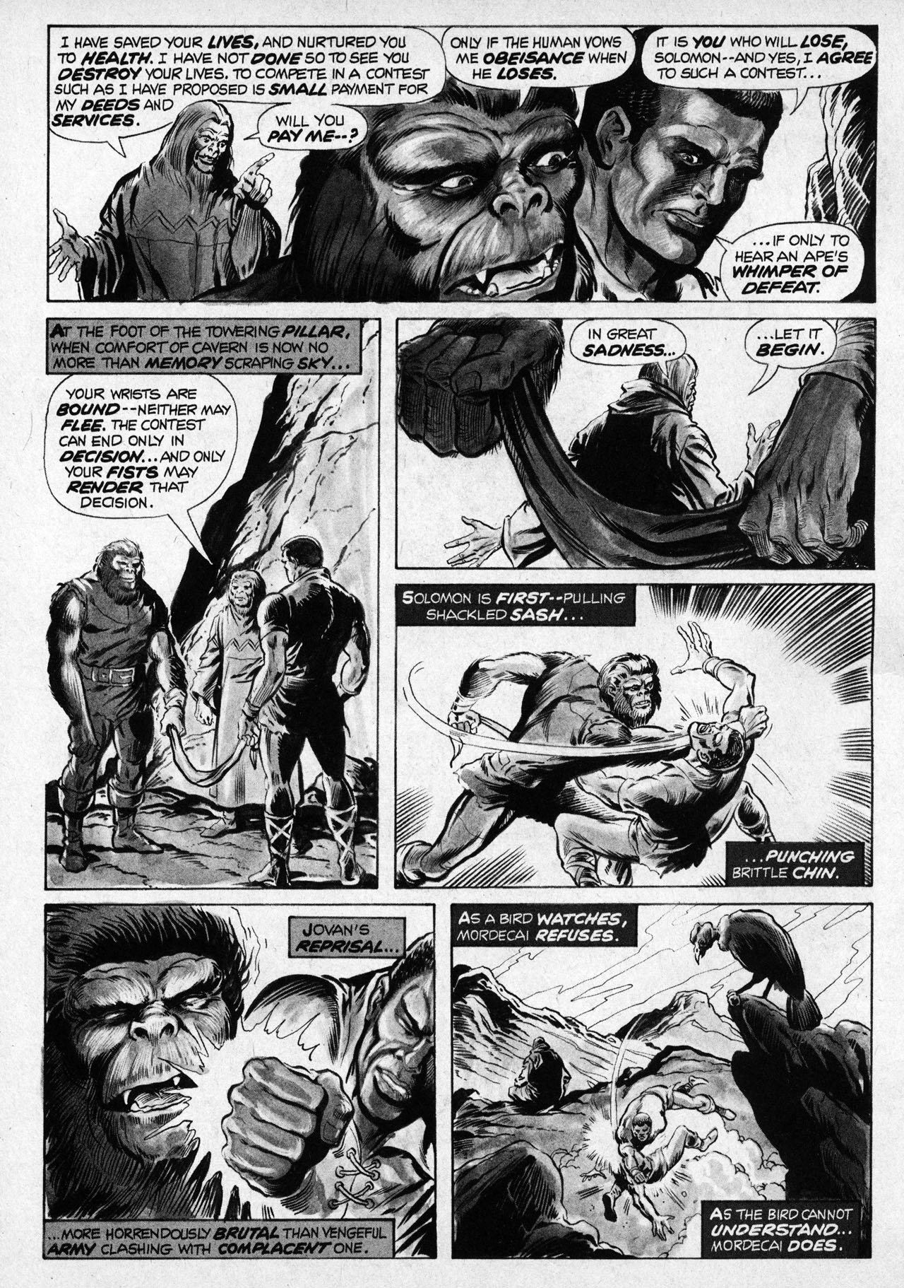 Read online Planet of the Apes comic -  Issue #5 - 25