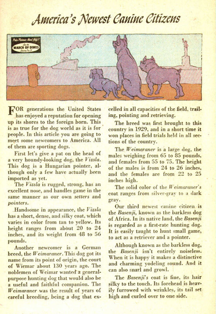 Read online The Adventures of Rex the Wonder Dog comic -  Issue #26 - 23