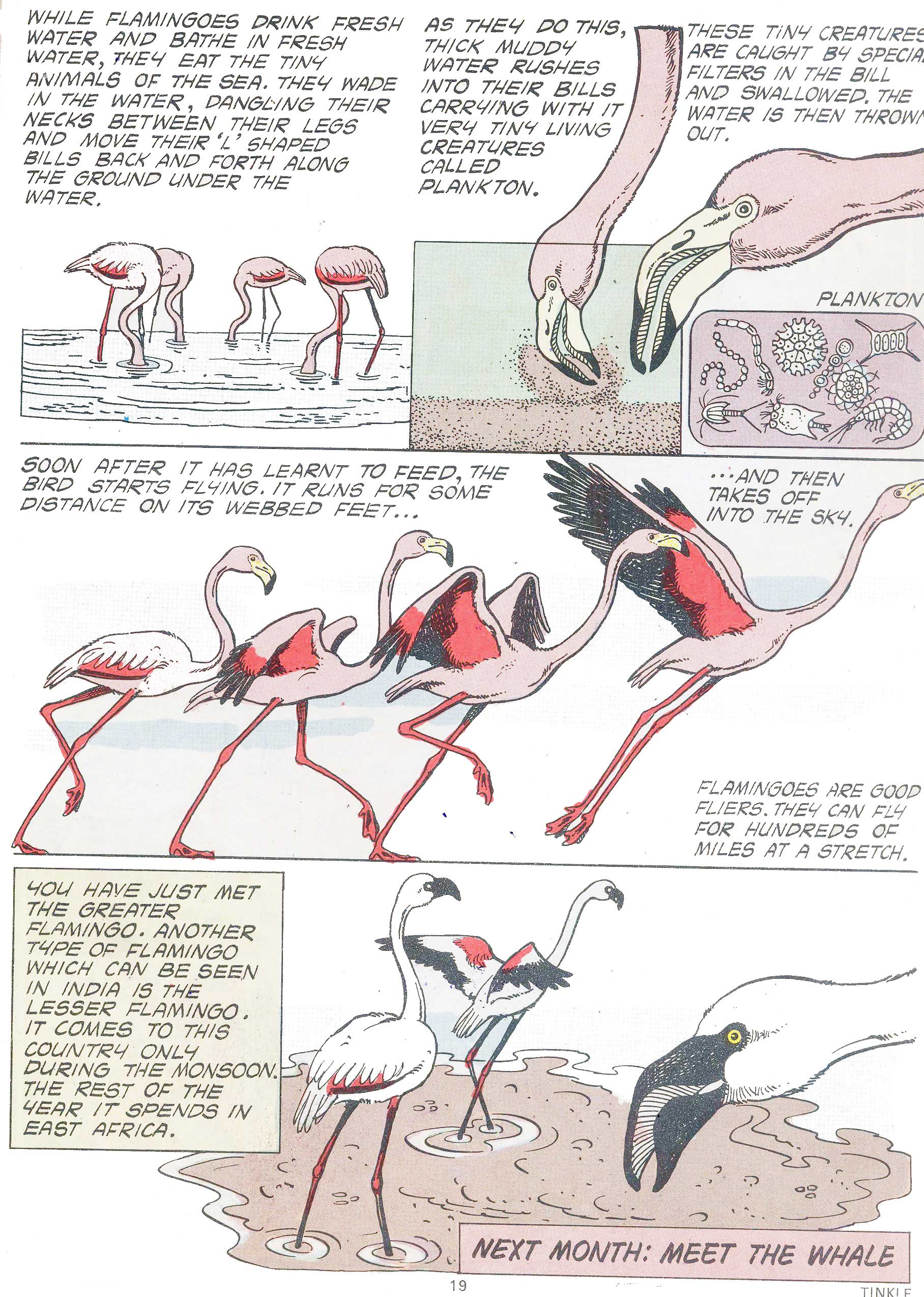 Read online Tinkle comic -  Issue #7 - 21