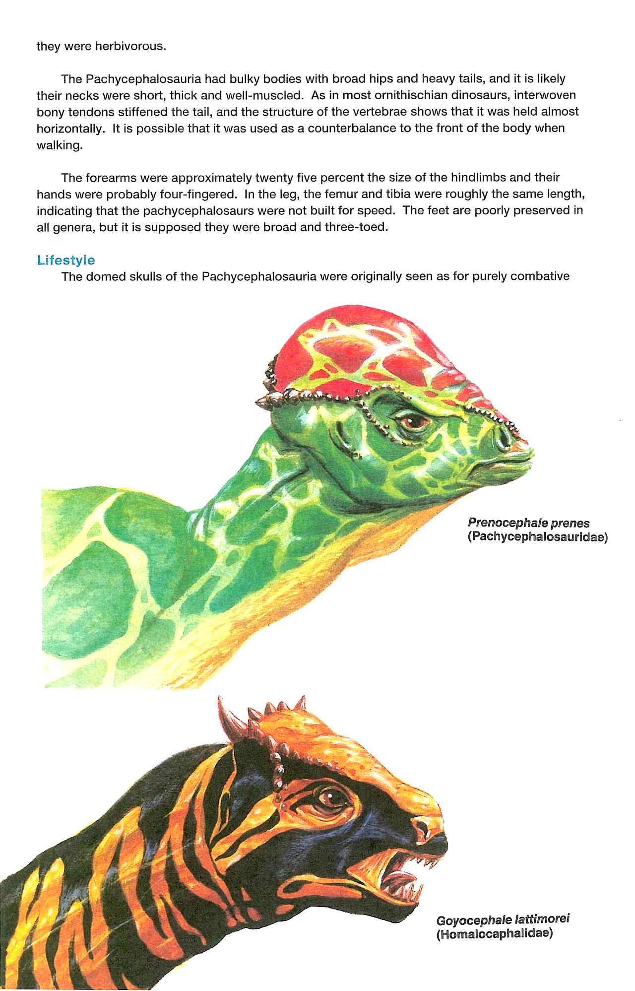 Read online Dinosaurs, A Celebration comic -  Issue #3 - 32