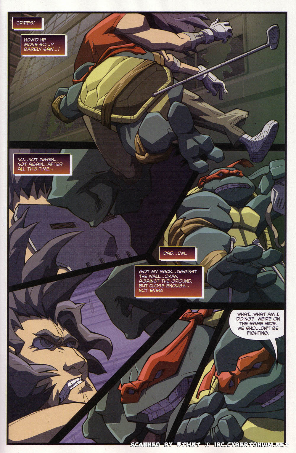 Teenage Mutant Ninja Turtles (2003) Issue #4 #4 - English 17