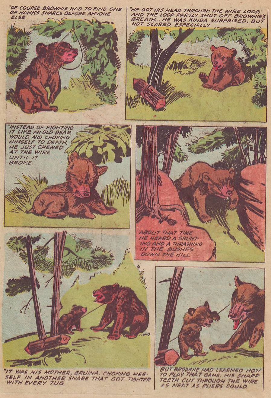 Read online Animal Comics comic -  Issue #28 - 30