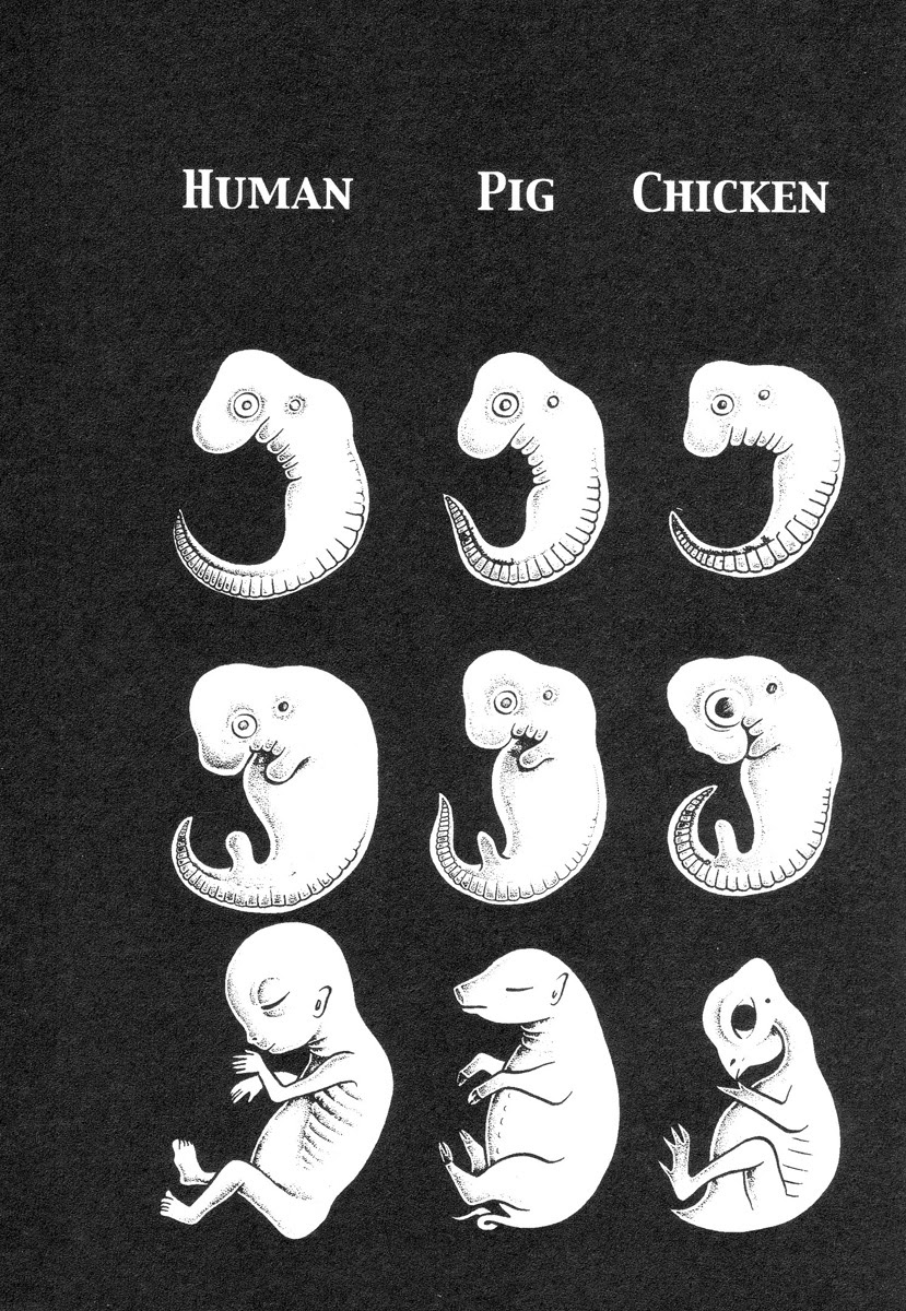 Read online Lullabies From Hell comic -  Issue # TPB (Part 1) - 51