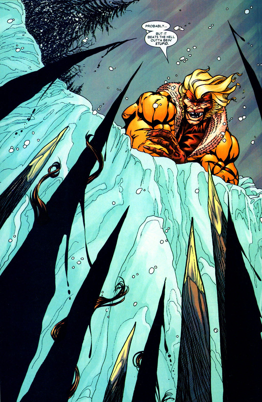 Read online Sabretooth (2004) comic -  Issue #2 - 15