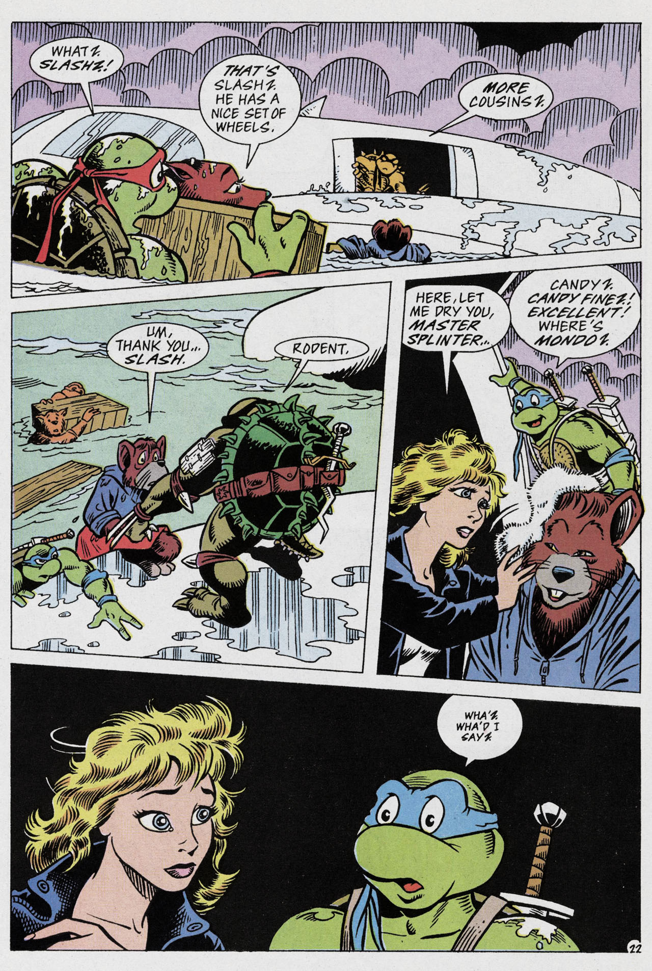 Read online Teenage Mutant Ninja Turtles Adventures (1989) comic -  Issue #55 - 25
