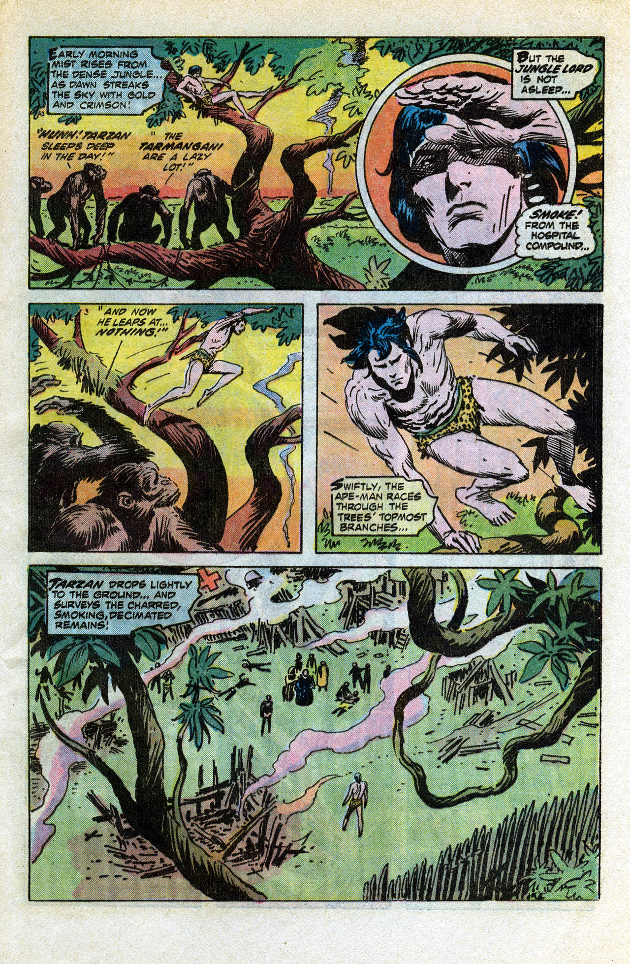 Read online Tarzan (1972) comic -  Issue #258 - 8