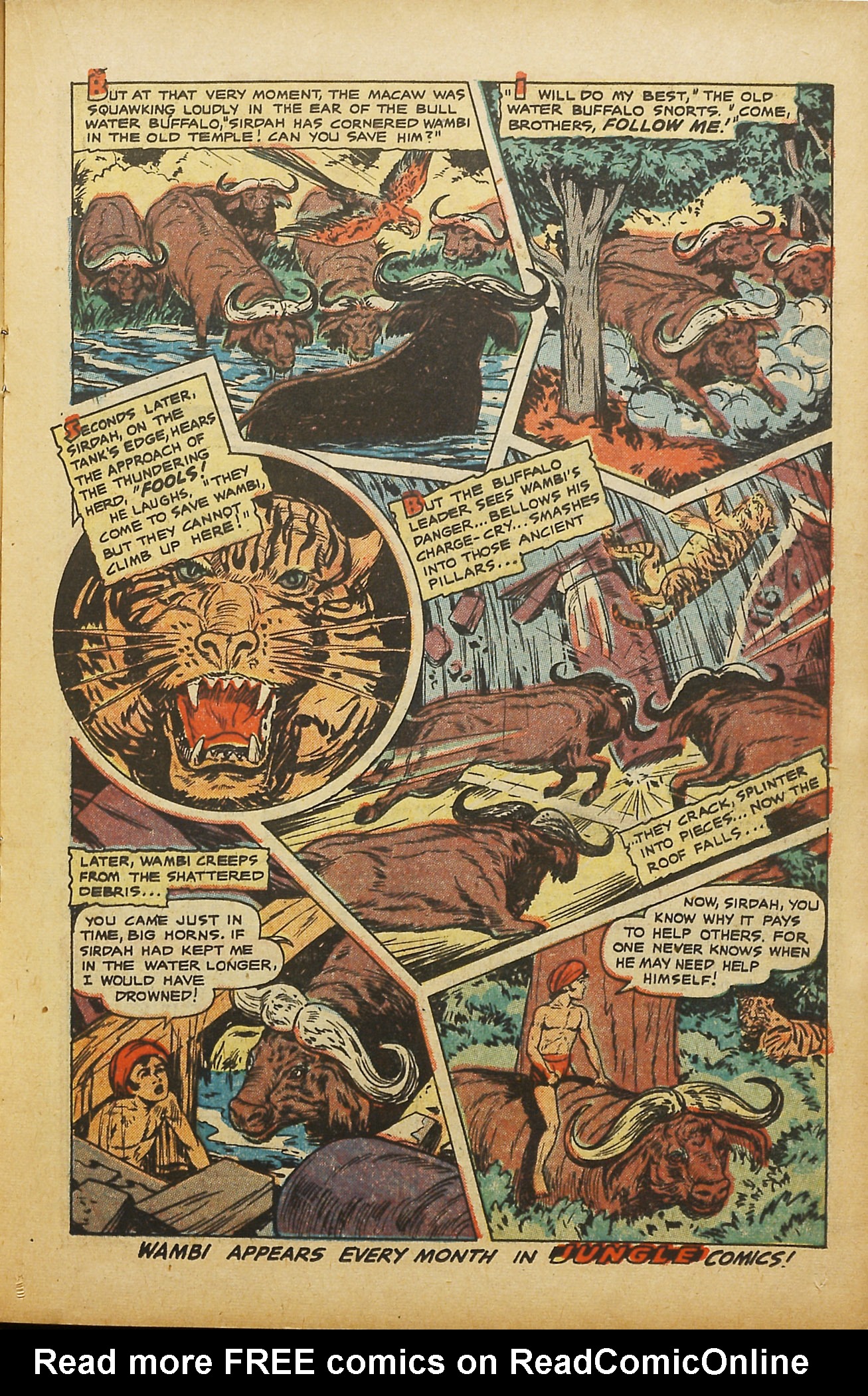 Read online Jungle Comics comic -  Issue #144 - 17