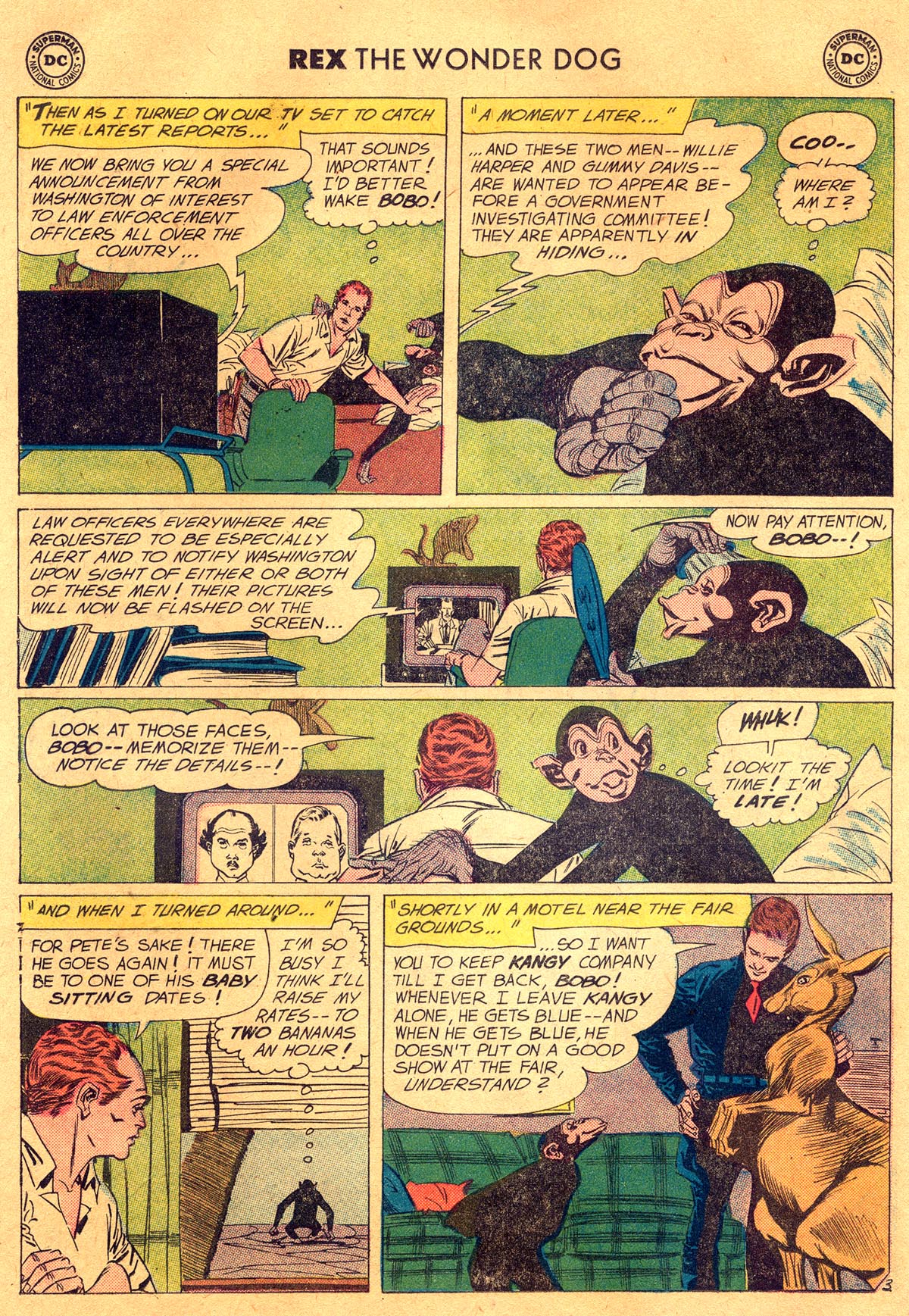 Read online The Adventures of Rex the Wonder Dog comic -  Issue #40 - 18