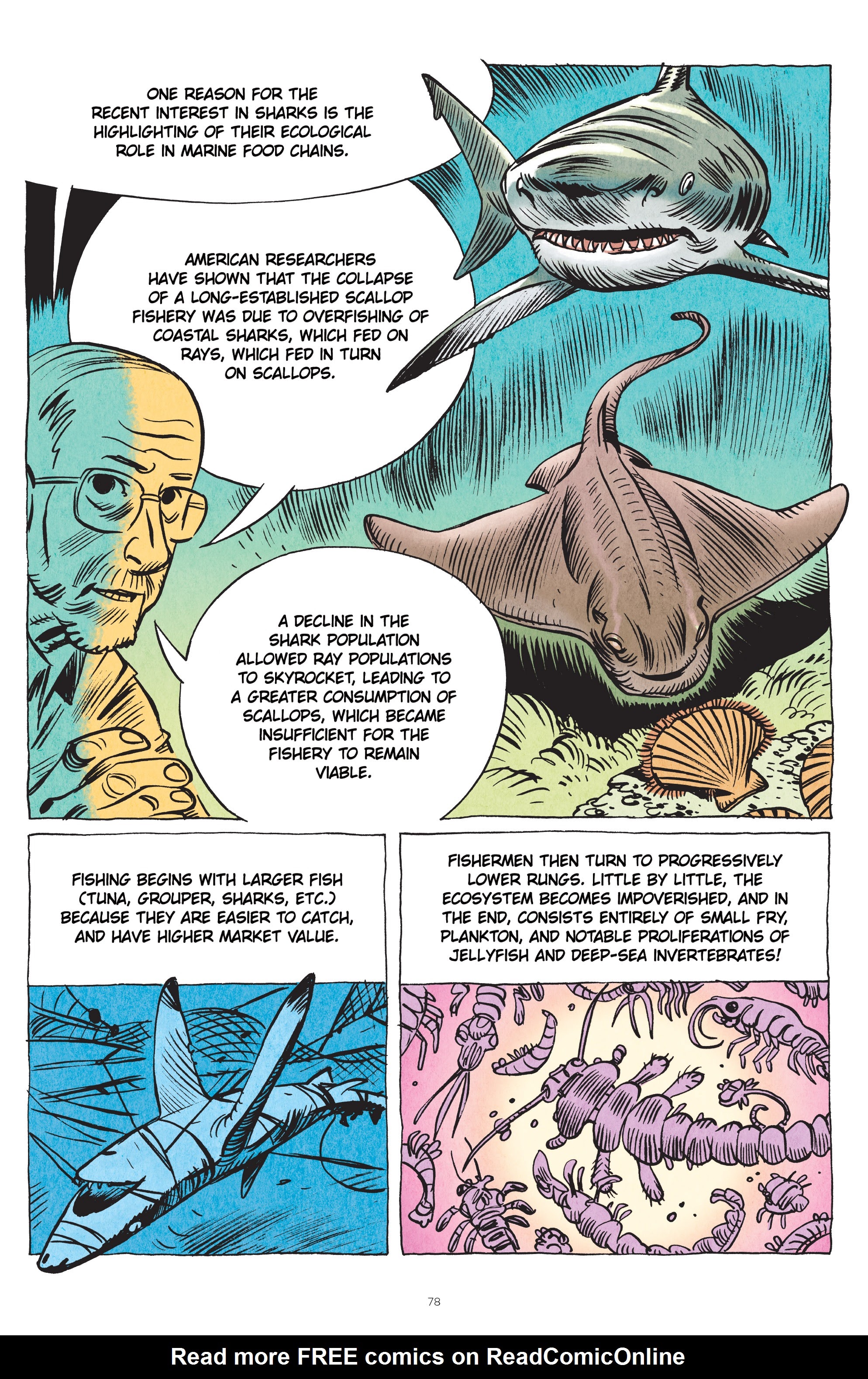 Read online Little Book of Knowledge: Sharks comic -  Issue # TPB - 78