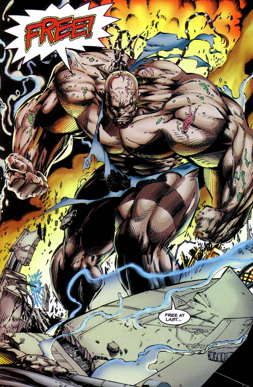 Read online WildStorm Rarities comic -  Issue # Full - 13
