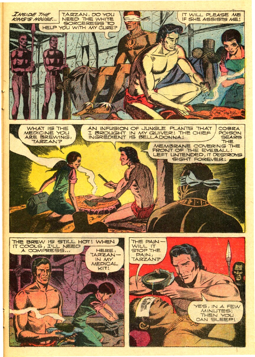 Read online Tarzan (1962) comic -  Issue #199 - 25