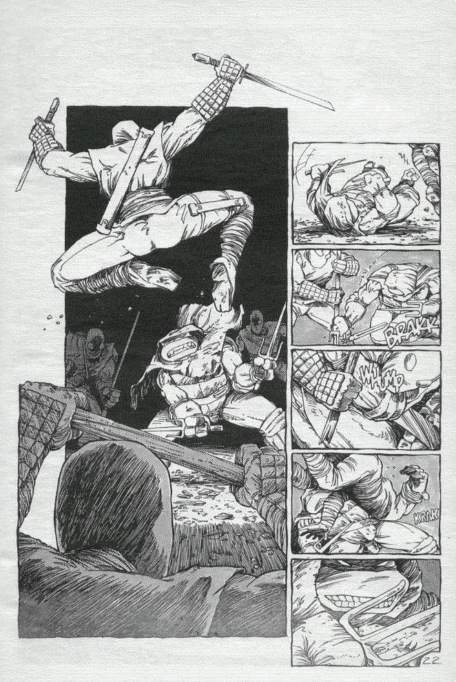 Teenage Mutant Ninja Turtles (1984) Issue #19 #19 - English 23