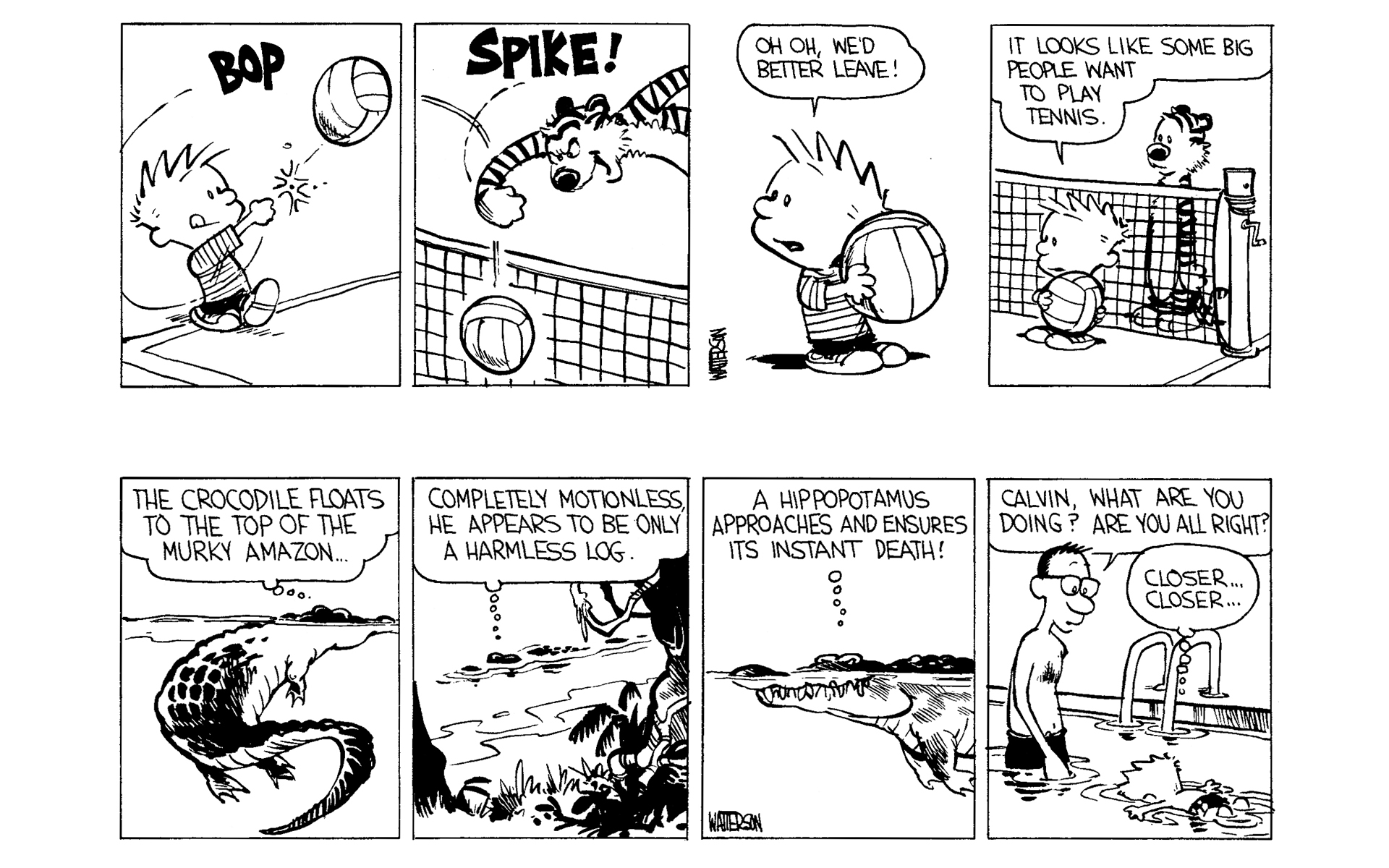 Read online Calvin and Hobbes comic -  Issue #1 - 112