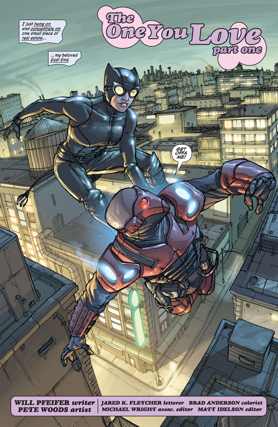 Read online Catwoman (2002) comic -  Issue #44 - 3