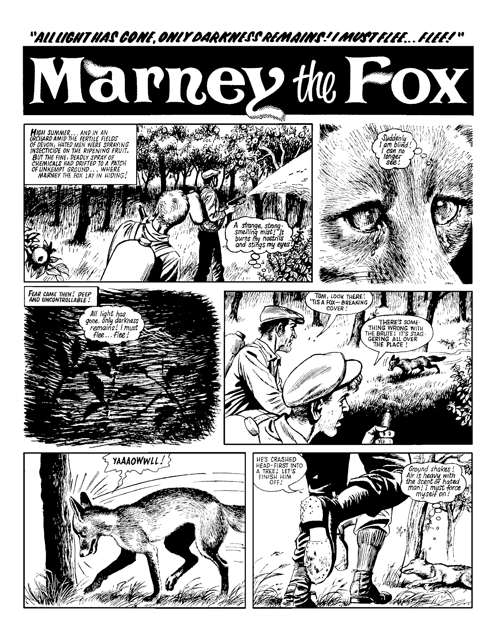 Read online Marney the Fox comic -  Issue # TPB (Part 2) - 116