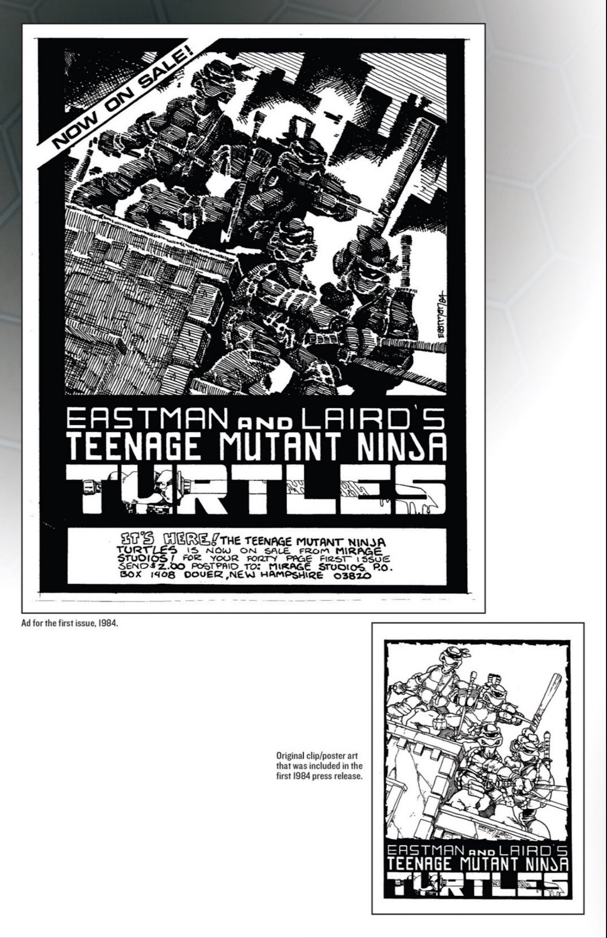 Read online Teenage Mutant Ninja Turtles 30th Anniversary Special comic -  Issue # Full - 12