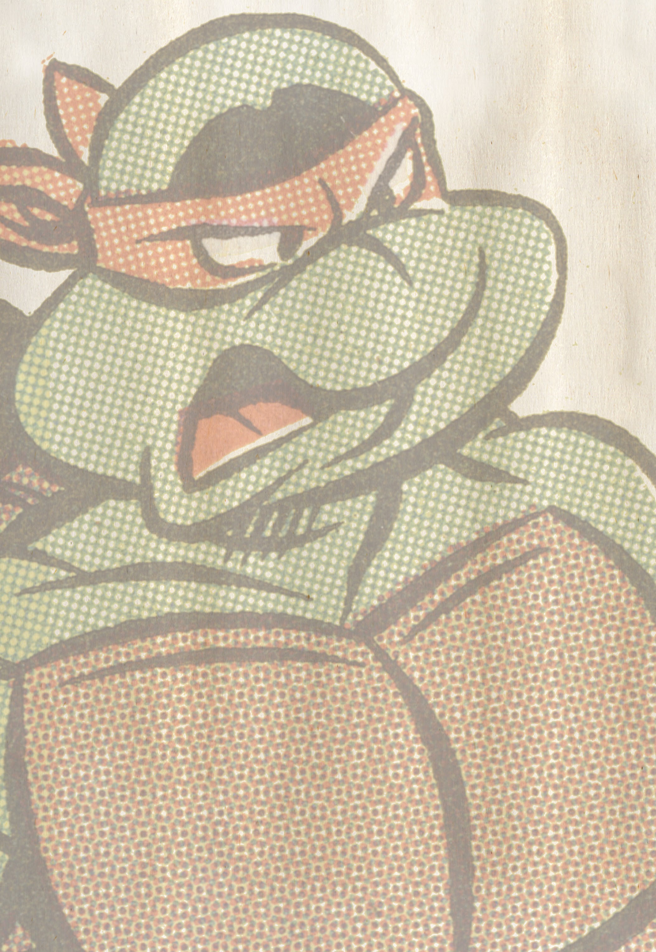 Read online Teenage Mutant Ninja Turtles Adventures (2012) comic -  Issue # TPB 6 - 86