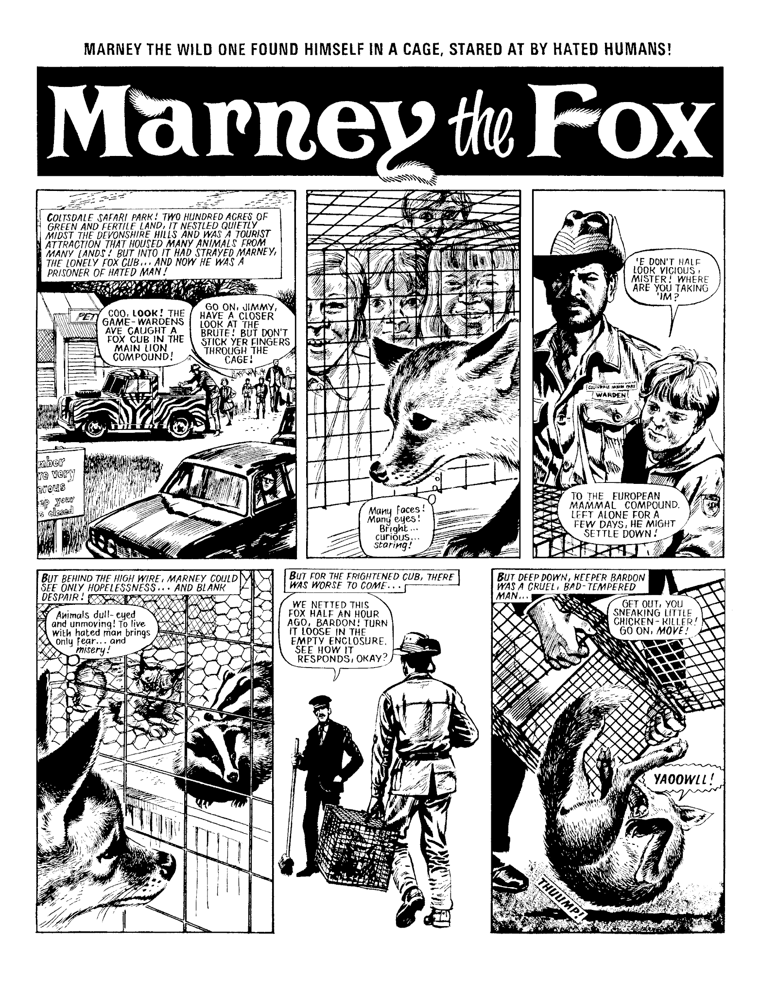 Read online Marney the Fox comic -  Issue # TPB (Part 1) - 31