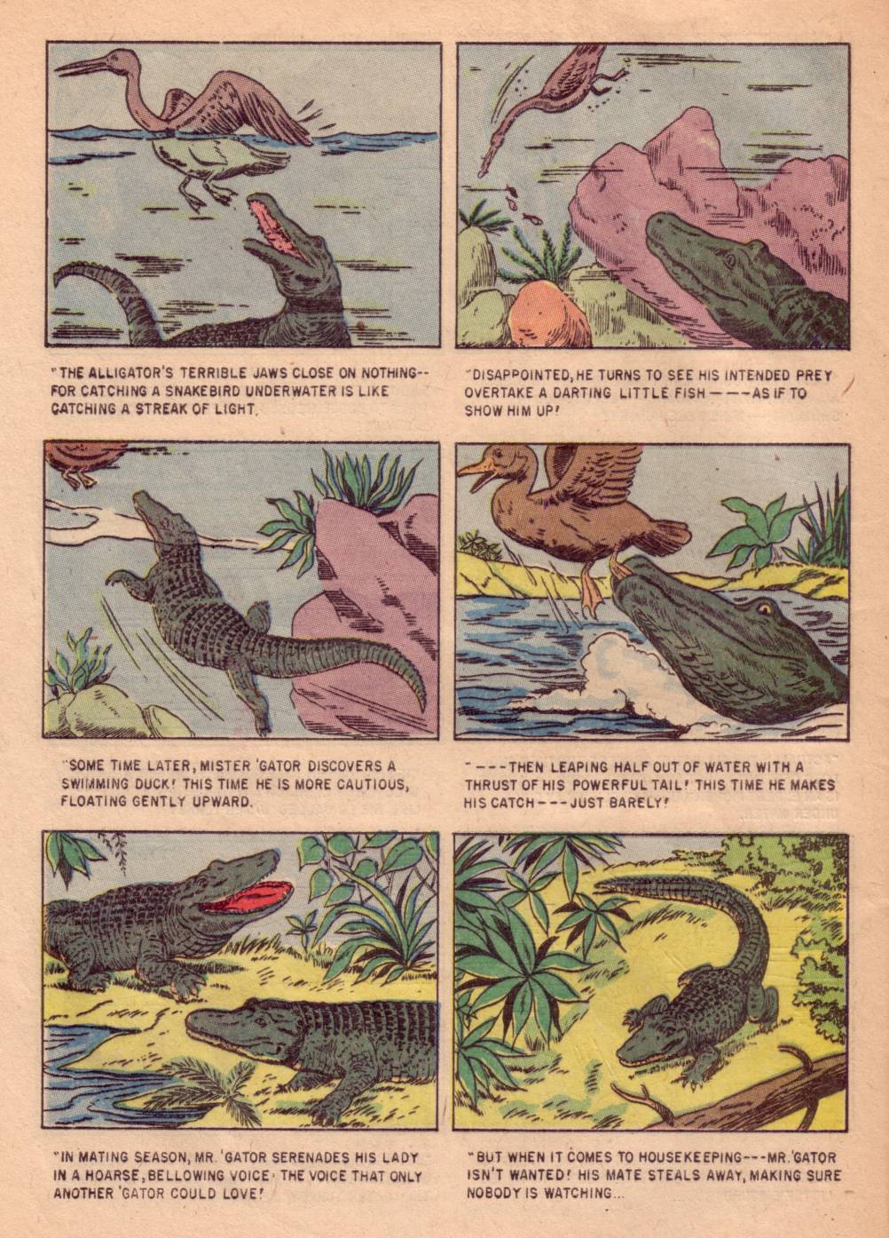 Read online Four Color Comics comic -  Issue #662 - 32