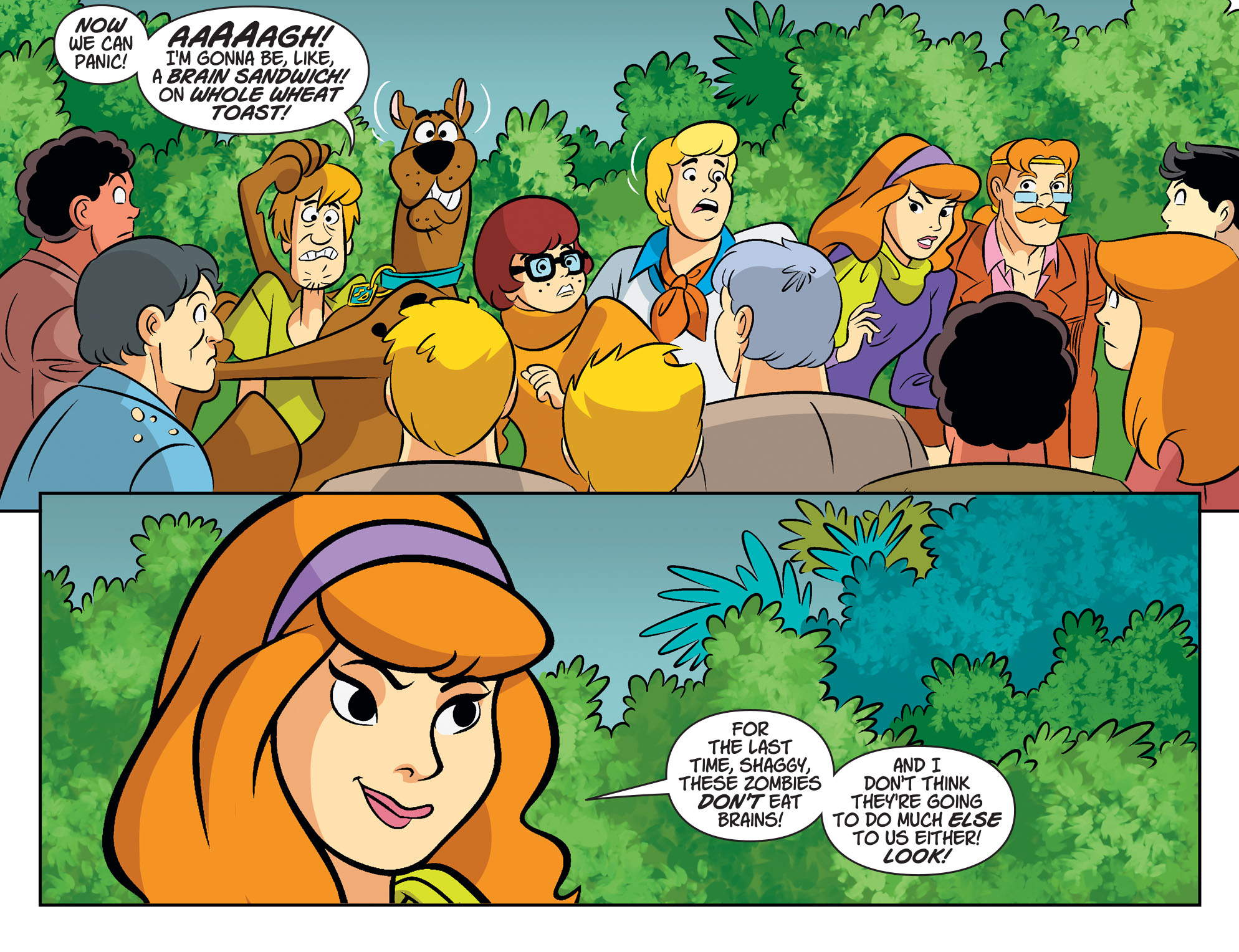 Read online Scooby-Doo! Team-Up comic -  Issue #80 - 13