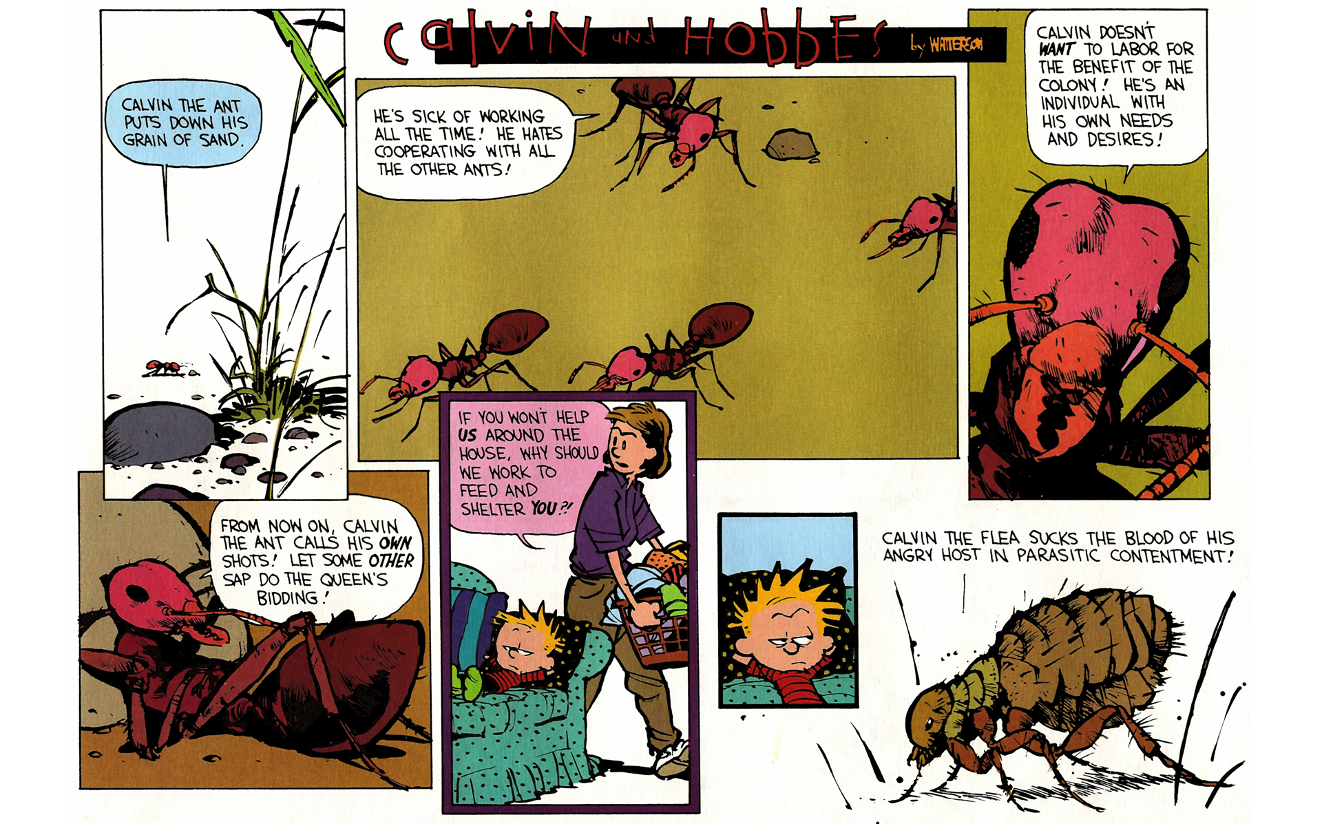Read online Calvin and Hobbes comic -  Issue #8 - 100