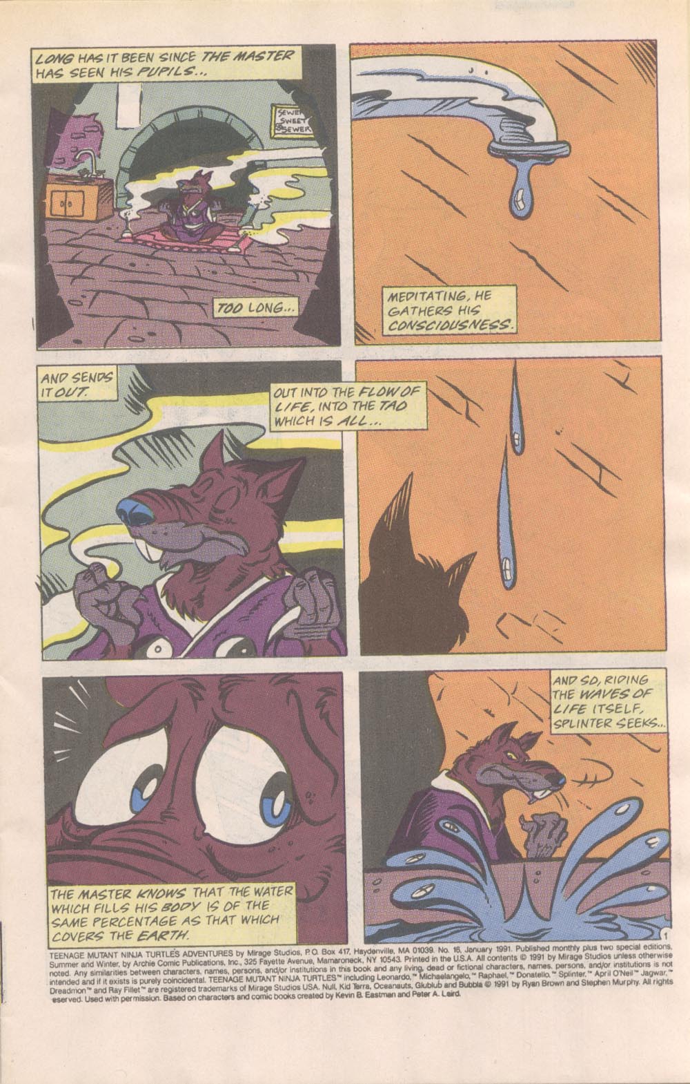 Read online Teenage Mutant Ninja Turtles Adventures (1989) comic -  Issue #16 - 2