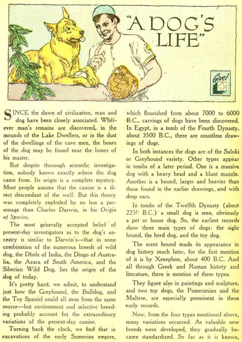 Read online The Adventures of Rex the Wonder Dog comic -  Issue #3 - 25