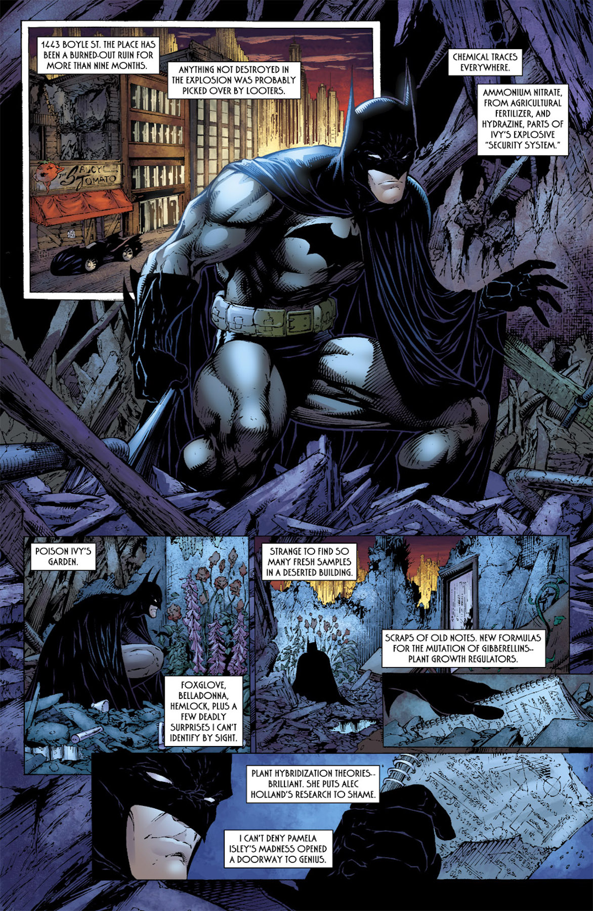 Read online Batman By Paul Dini Omnibus comic -  Issue # TPB (Part 1) - 57