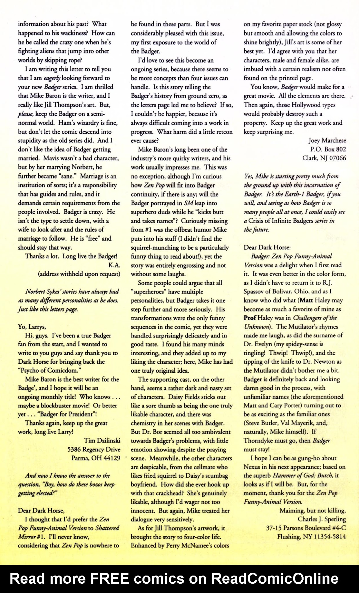 Read online Badger: Shattered Mirror comic -  Issue #4 - 24