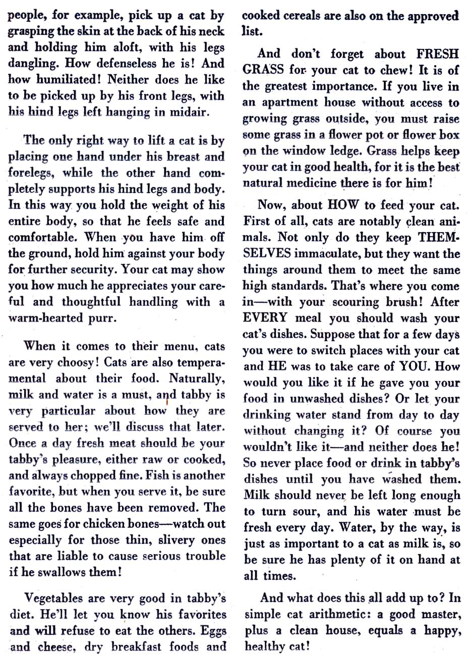 Read online Peter Panda comic -  Issue #16 - 26