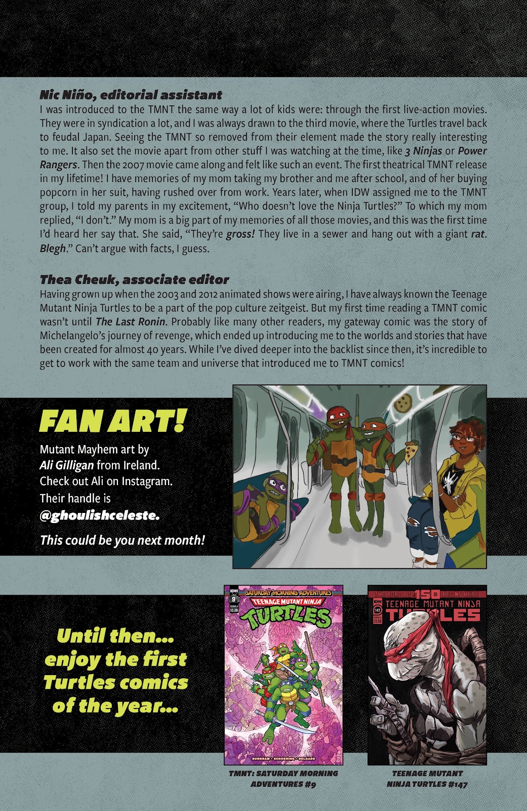 Teenage Mutant Ninja Turtles: Saturday Morning Adventures Continued issue 9 - Page 29