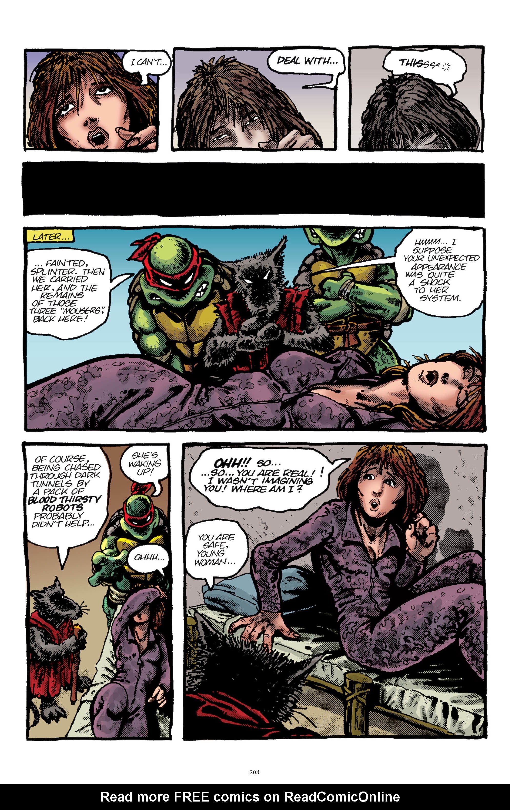 Read online Best of Teenage Mutant Ninja Turtles Collection comic -  Issue # TPB 3 (Part 2) - 96