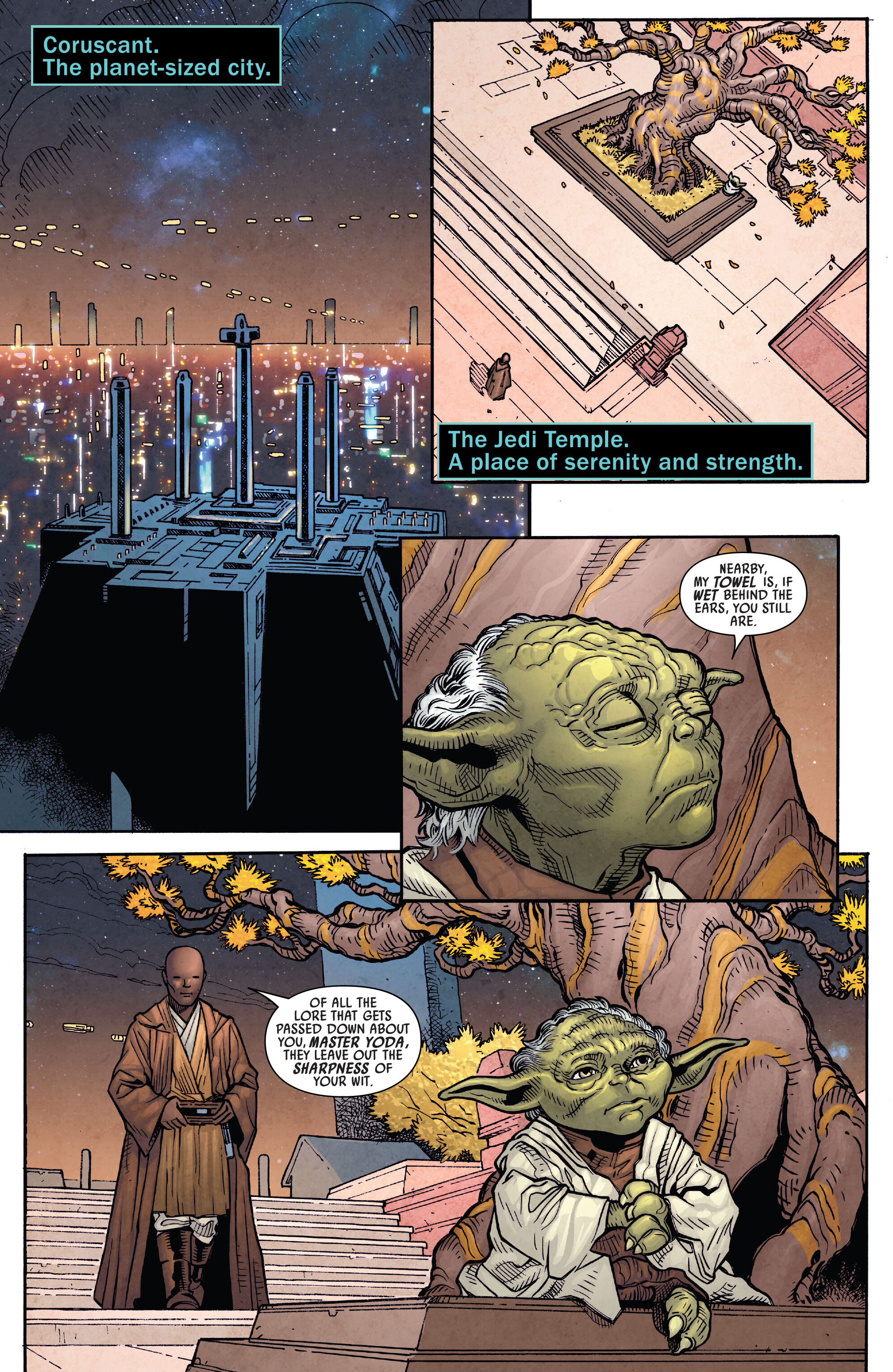 Read online Star Wars: Mace Windu (2024) comic -  Issue #1 - 10