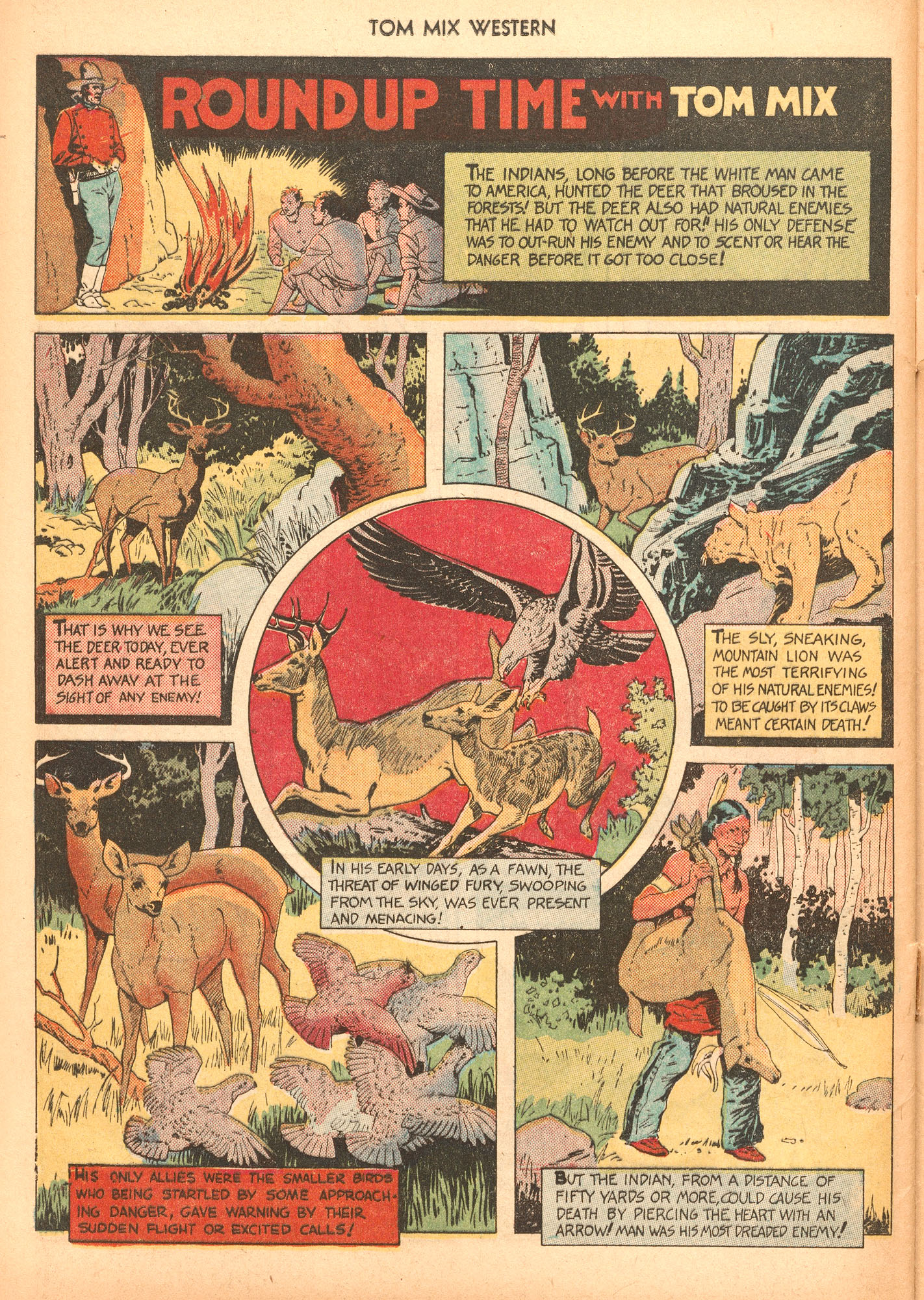 Read online Tom Mix Western (1948) comic -  Issue #40 - 40