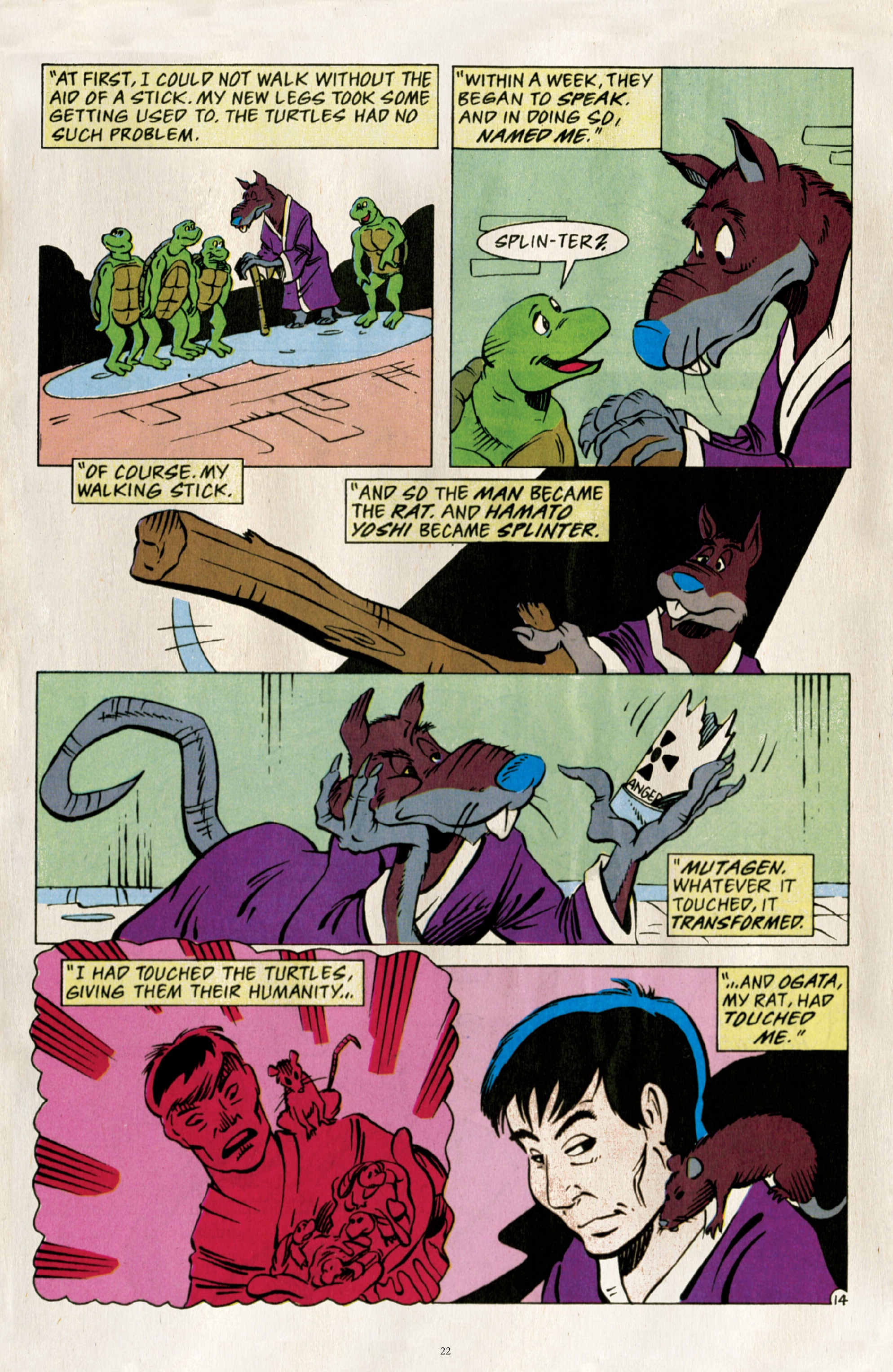 Read online Best of Teenage Mutant Ninja Turtles Collection comic -  Issue # TPB 2 (Part 1) - 21